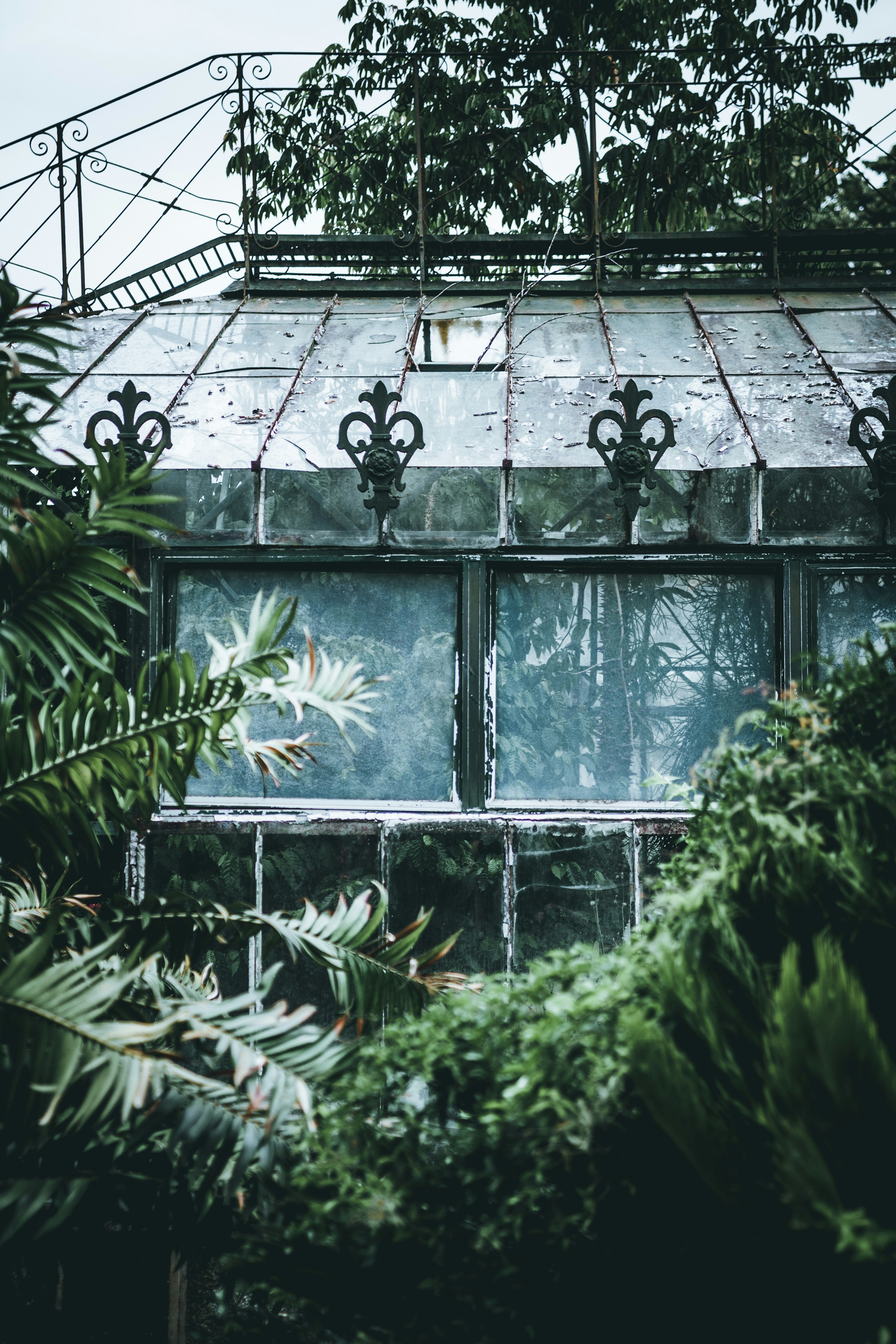 Old Greenhouse Among Lush Greenery