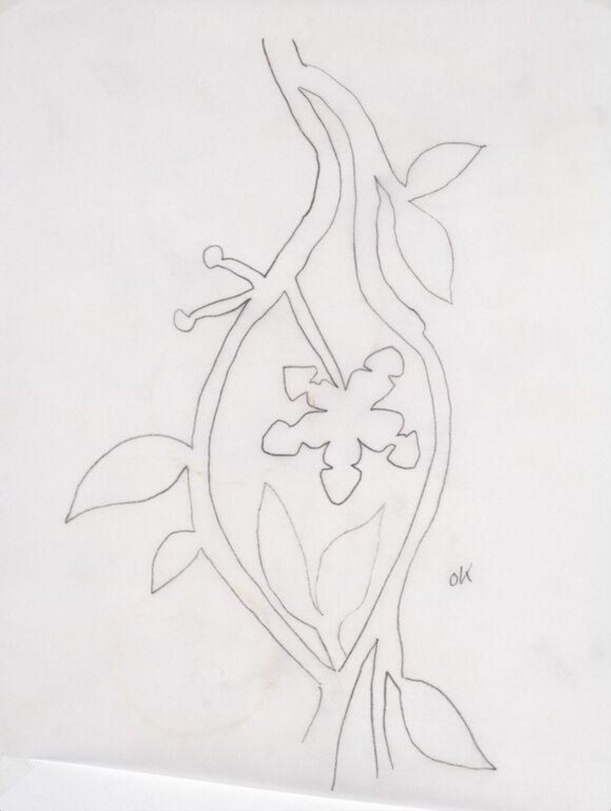 Hand Drawn Floral Branch Line Sketch