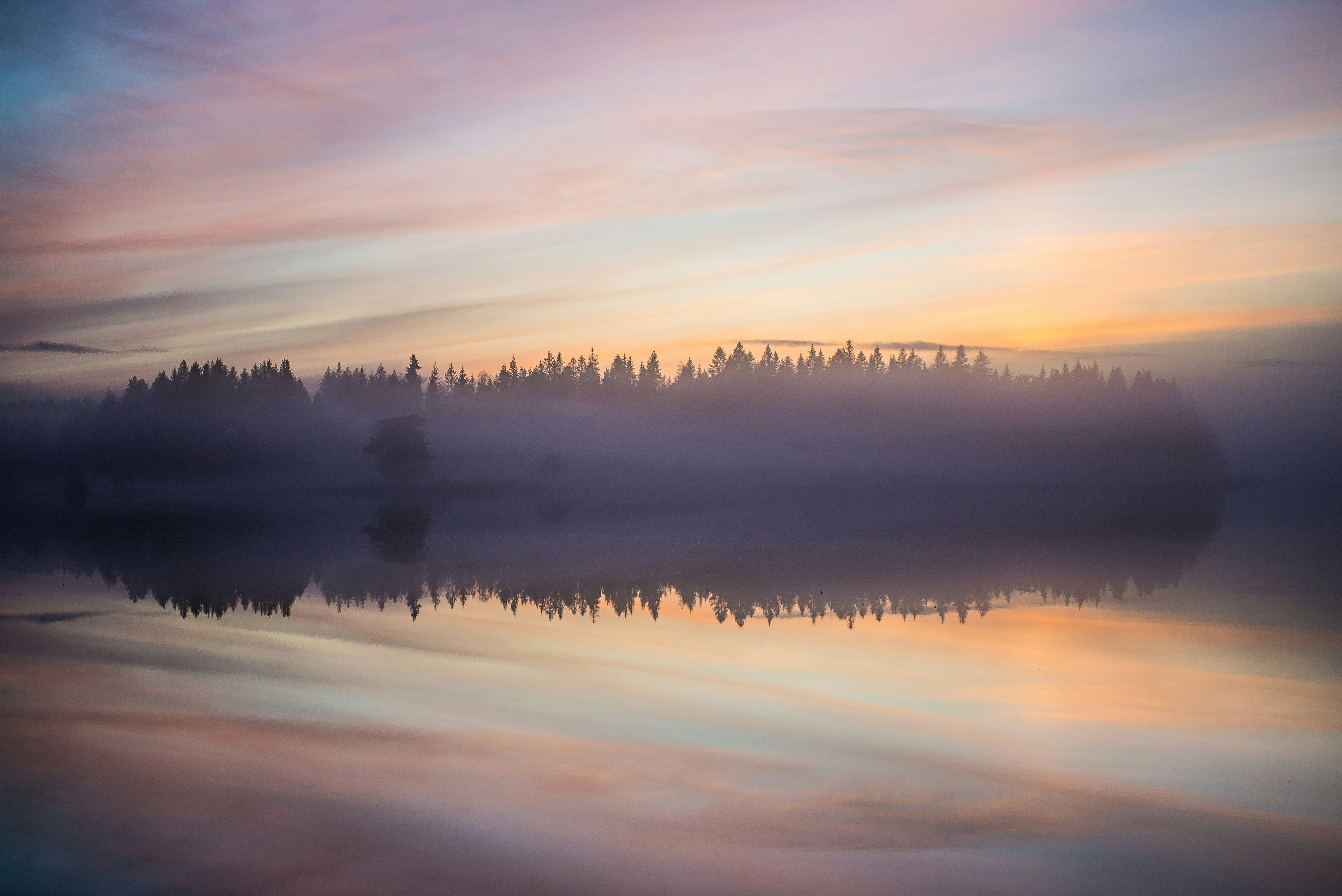 Misty Lake Dawn Landscape