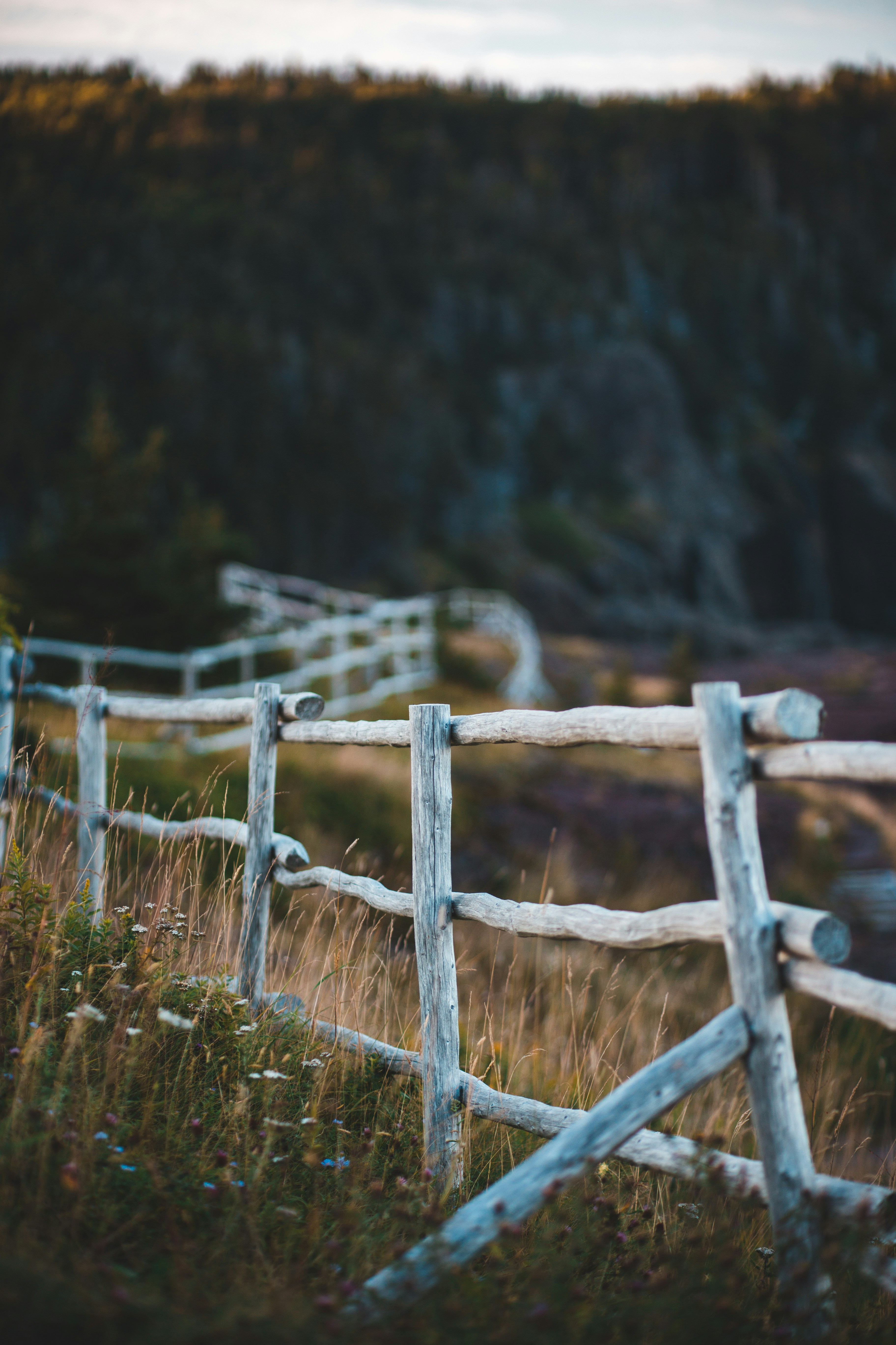 Winding Wooden Fence on Hillside