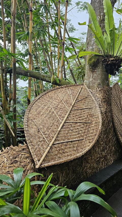 Woven Bamboo Fans in Tropical Greenery