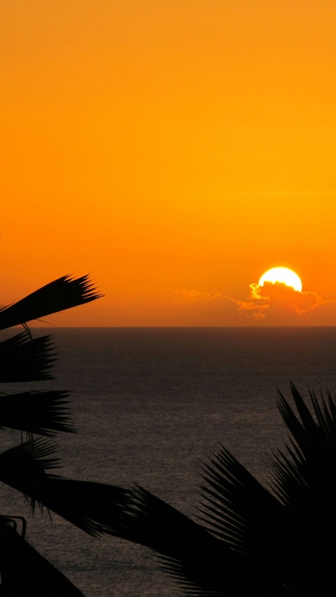 Tropical Ocean Sunset