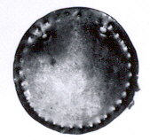 Faceted Round Black Gemstone