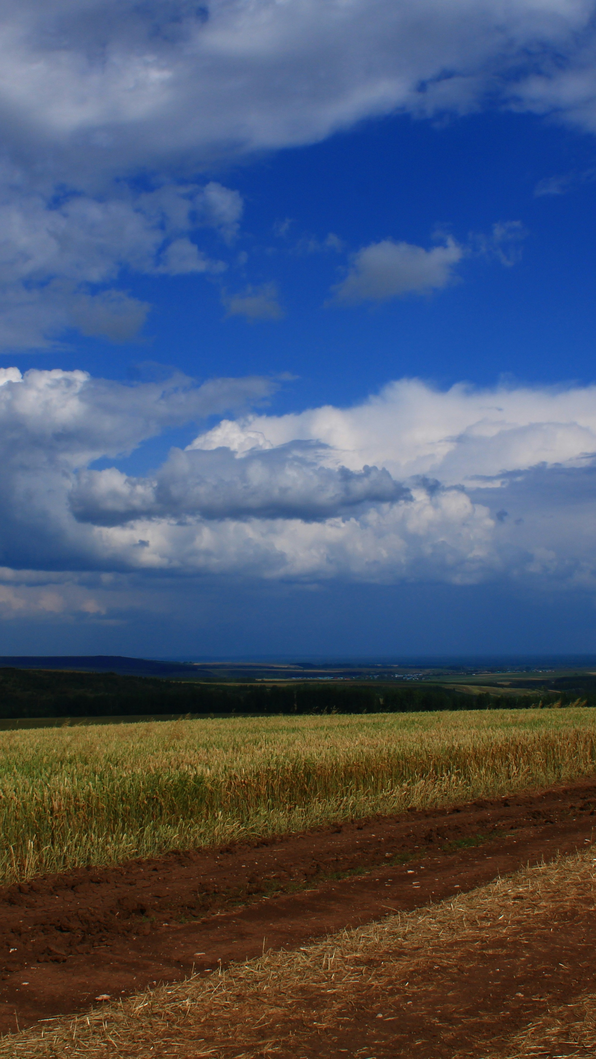 Sky Series