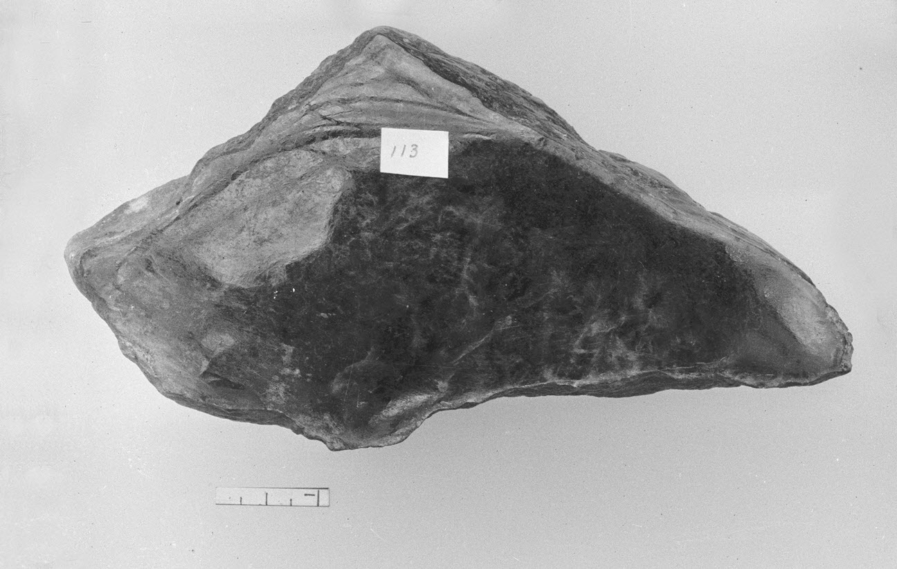 Numbered Rock Specimen 113