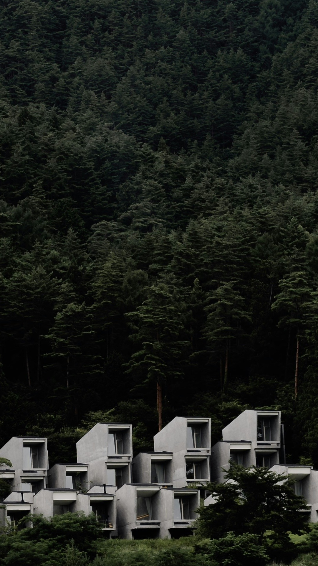 Wallpapers