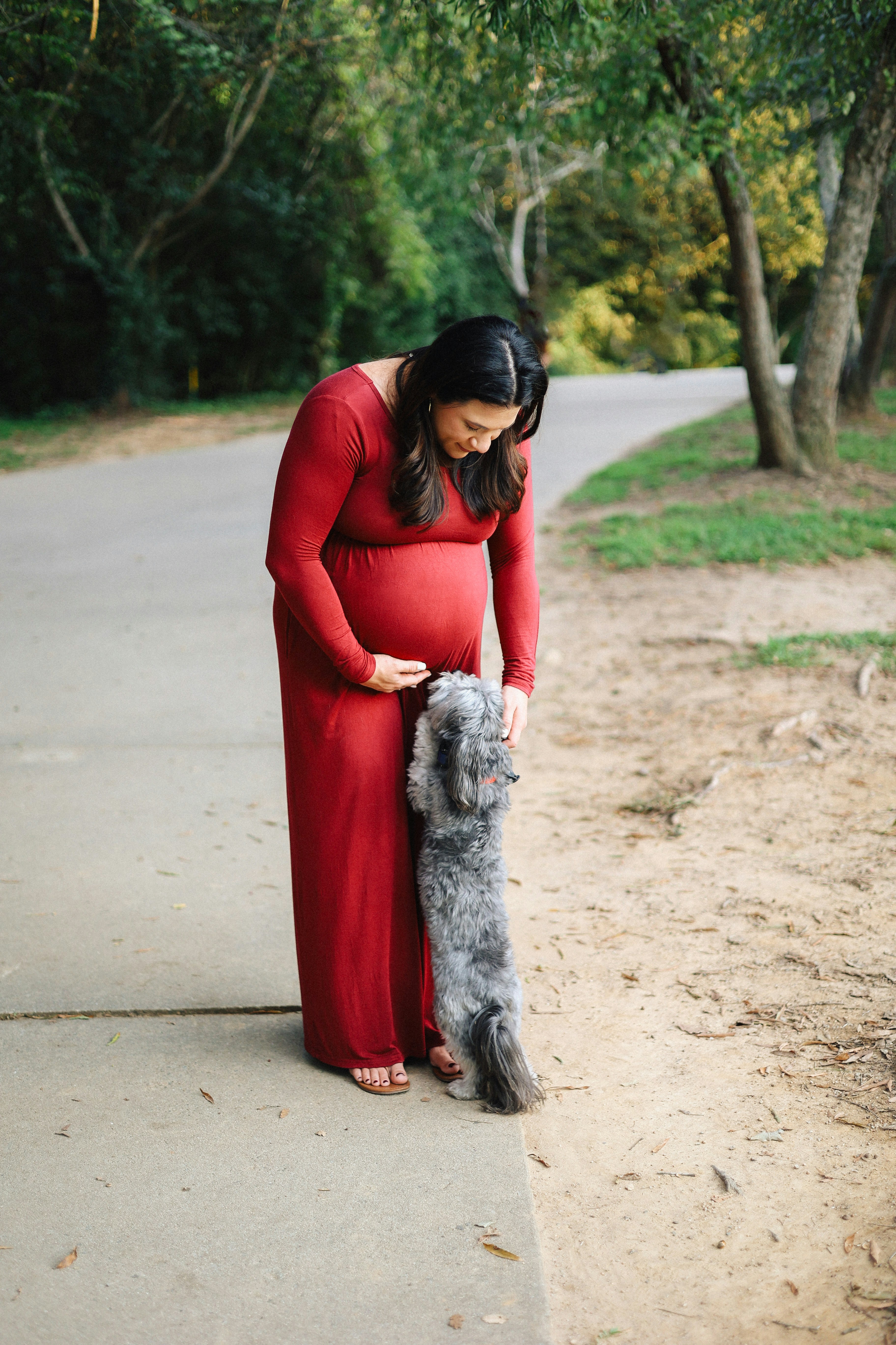 Pregnant Woman With Dog In Park