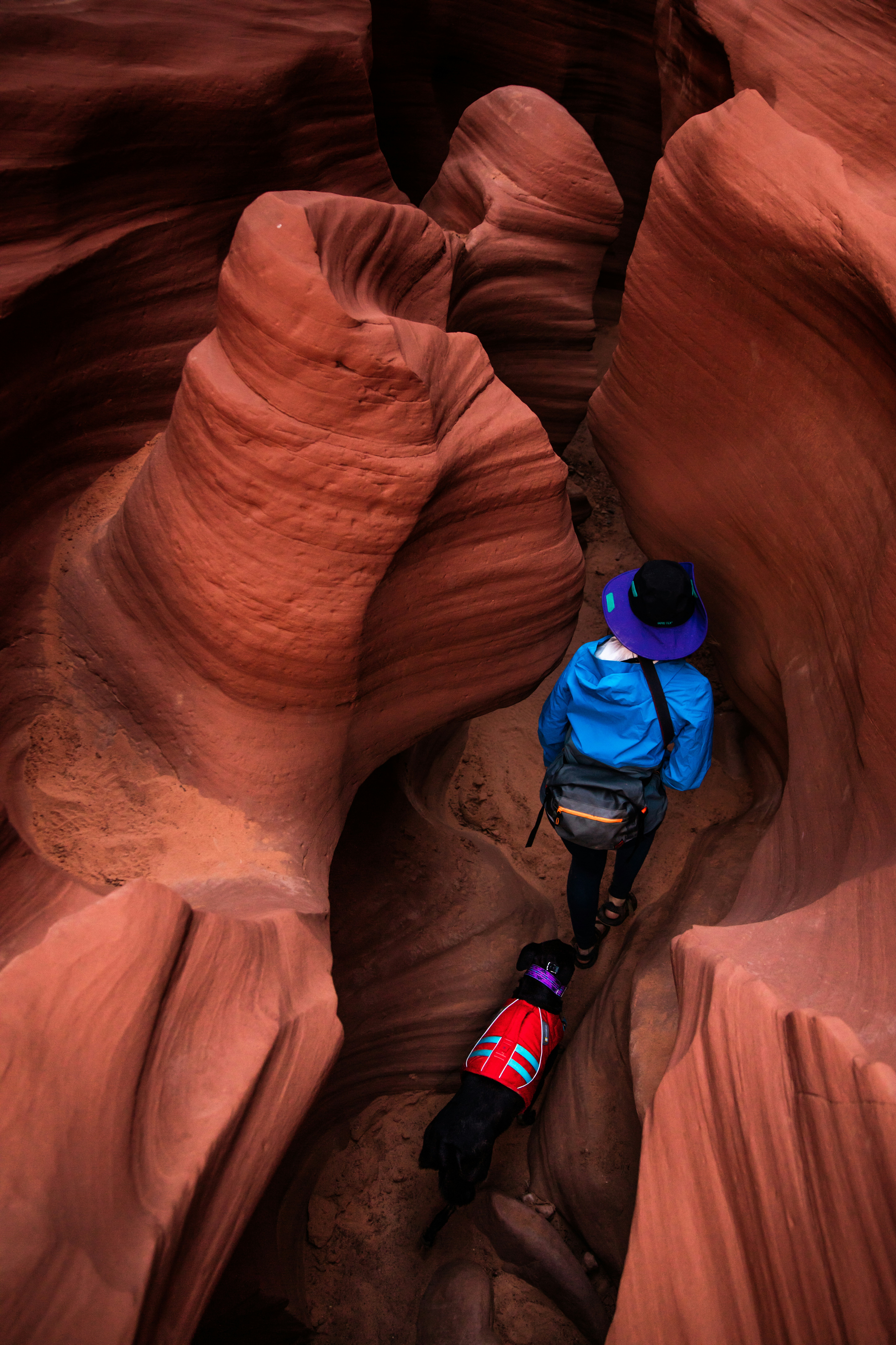 Hiker and dog exploring slot canyon