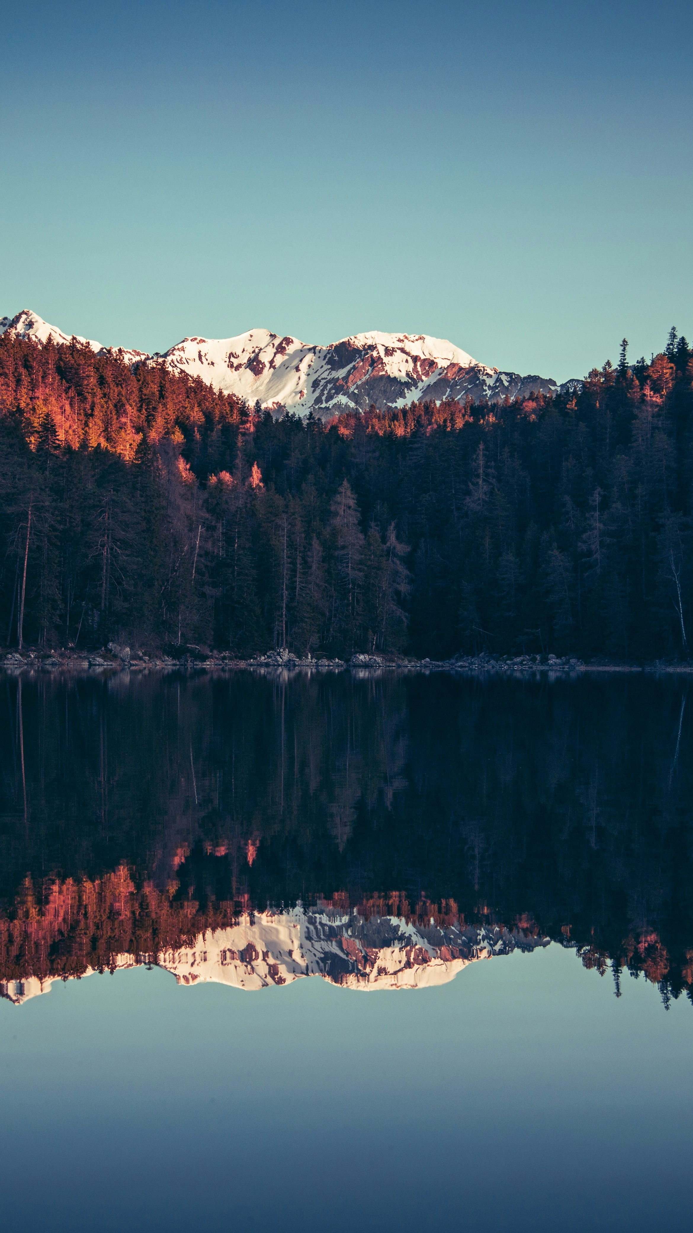 Wallpapers
