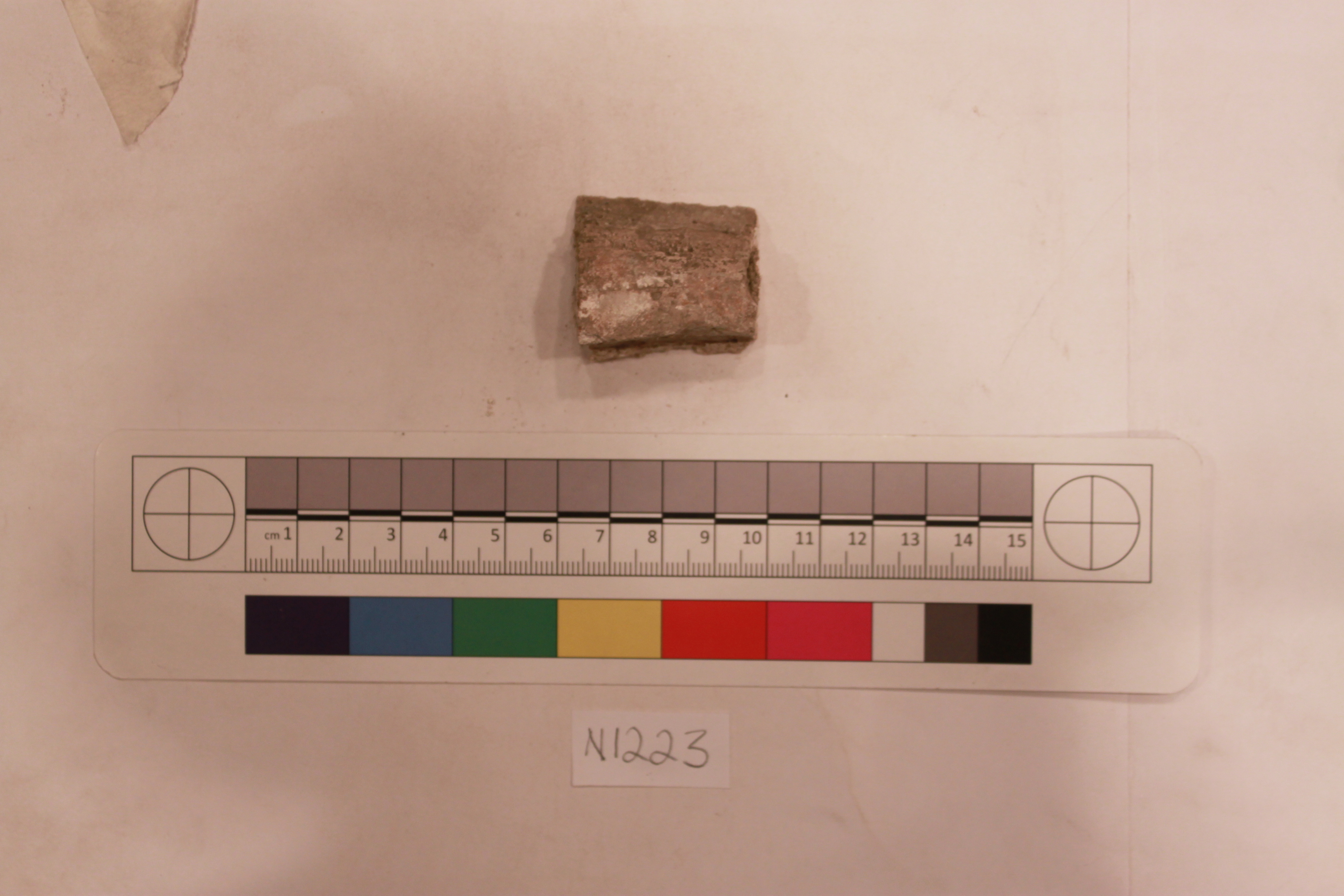 Archaeological Specimen N1223