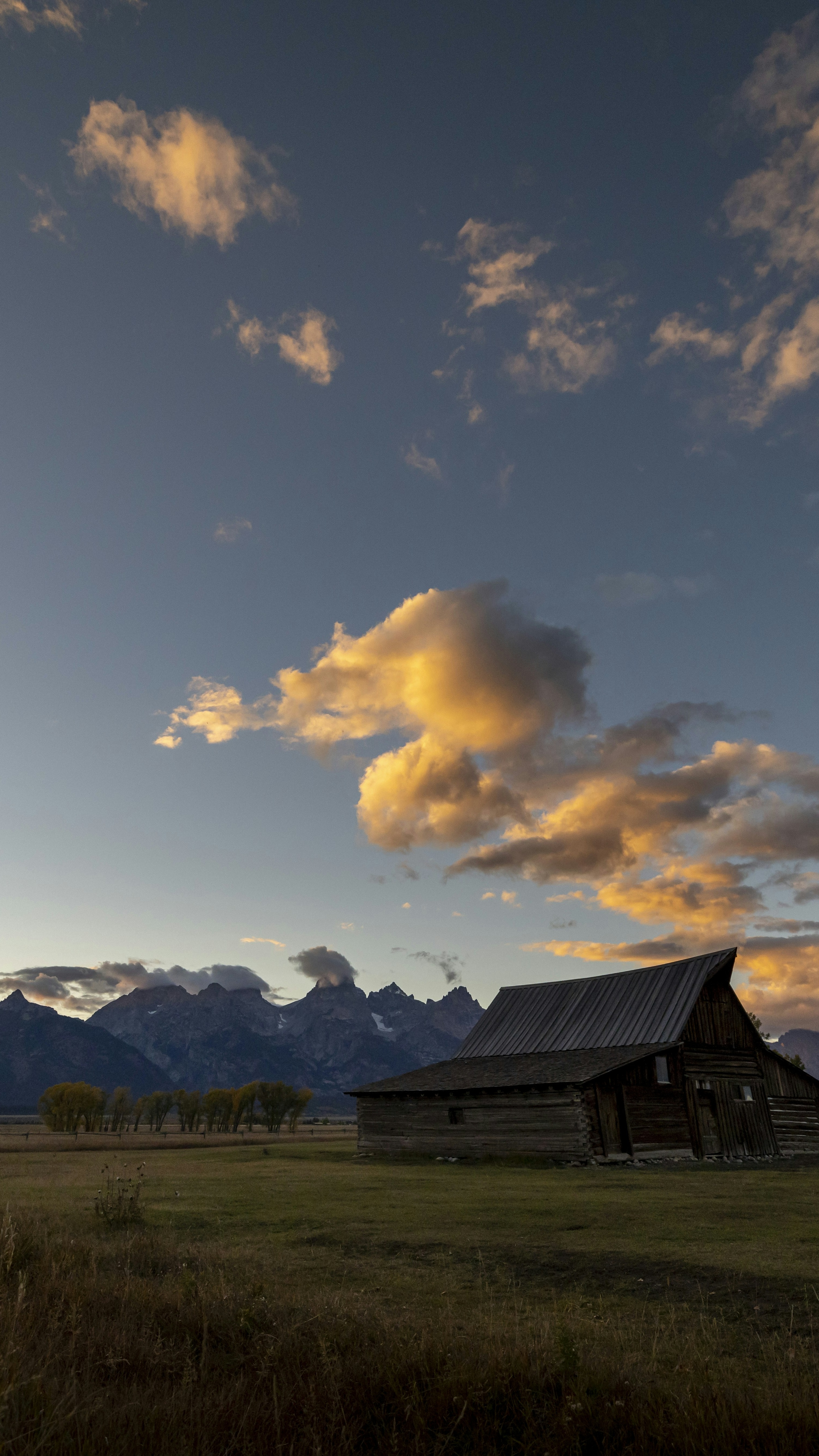 Image 1565926 — Nature