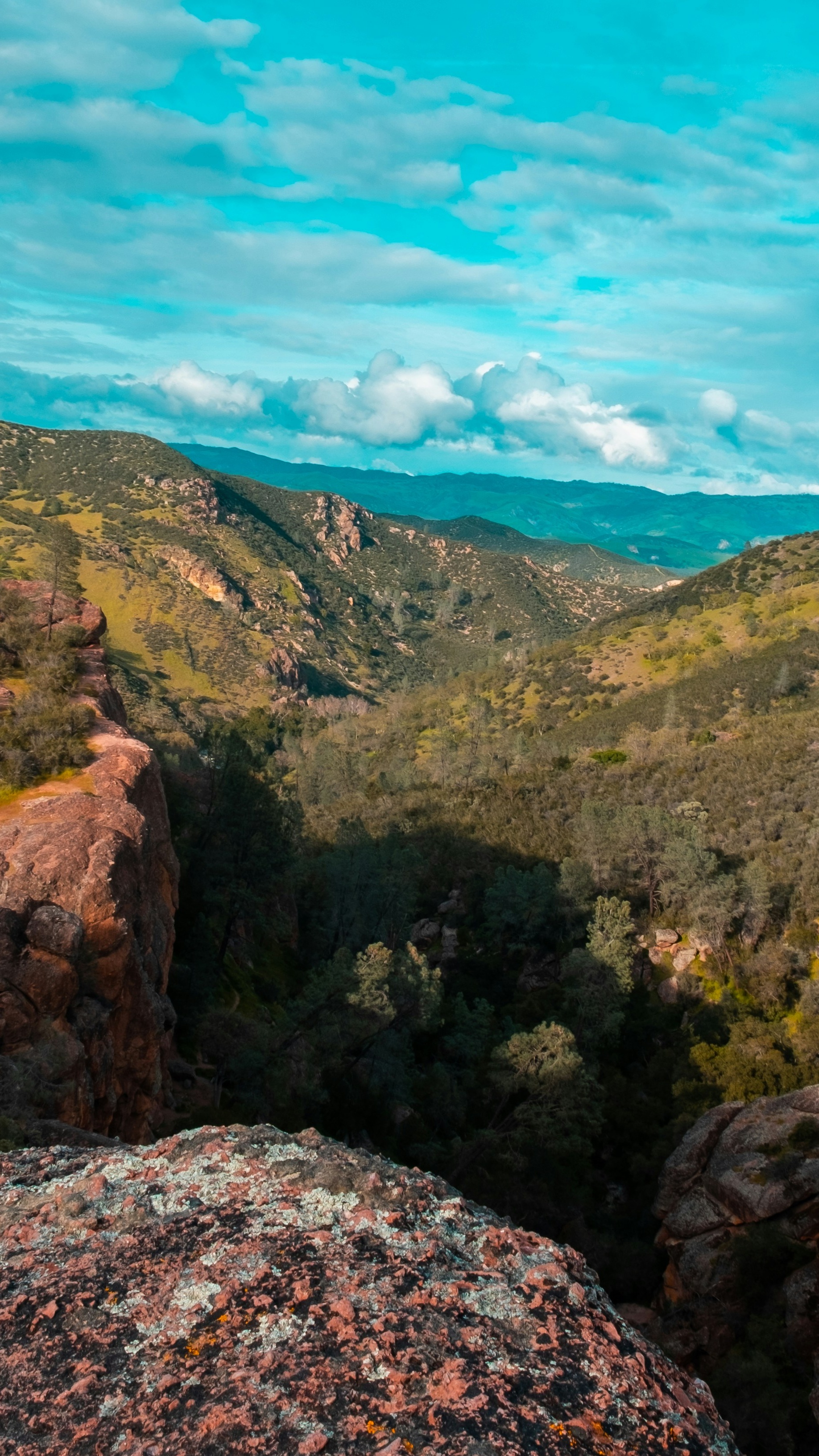 Image 1568113 — Backgrounds