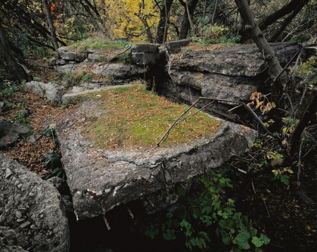 Abandoned Ruins in Autumn Woodland