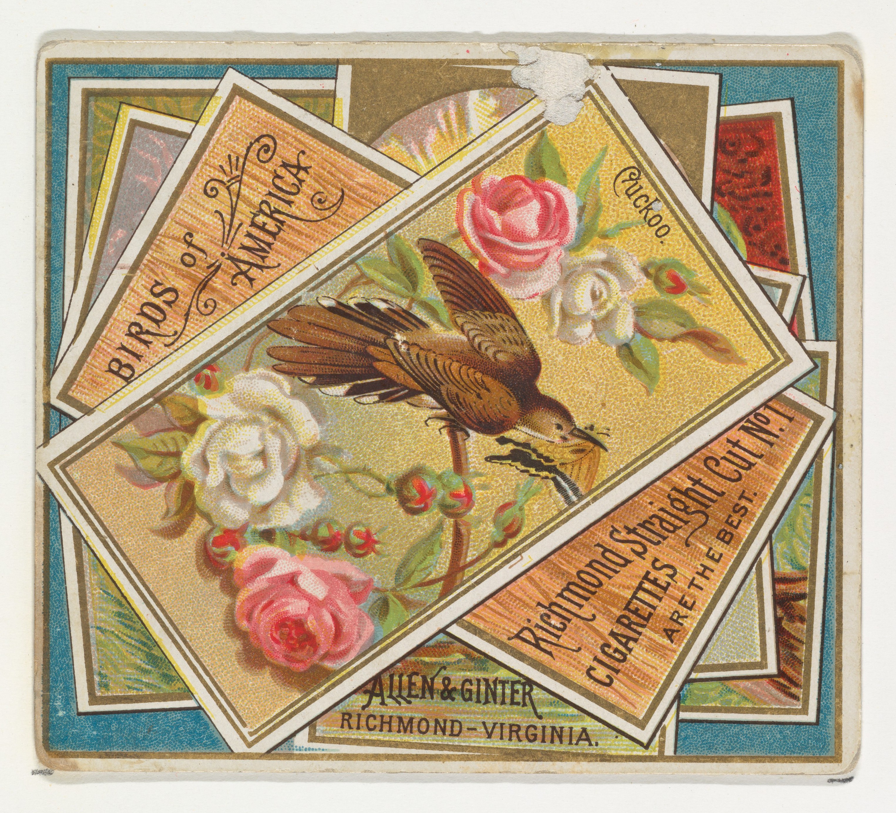 Cuckoo Birds of America Vintage Cigarette Card