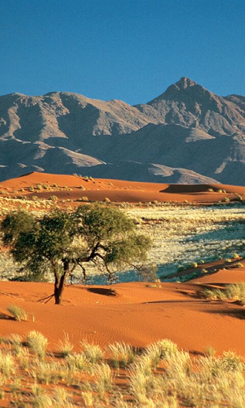 Desert Landscape With Mountains