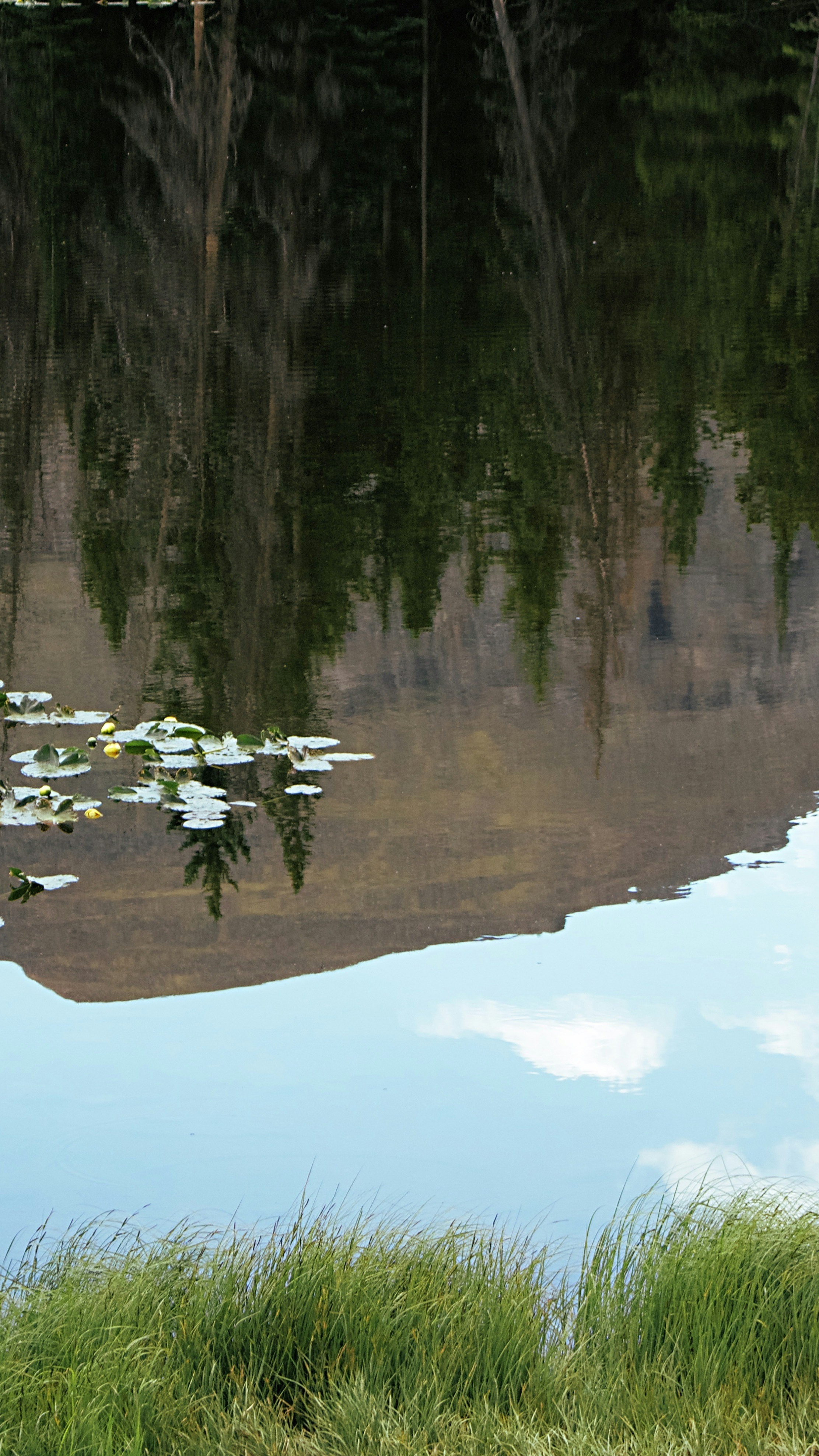 Landscapes