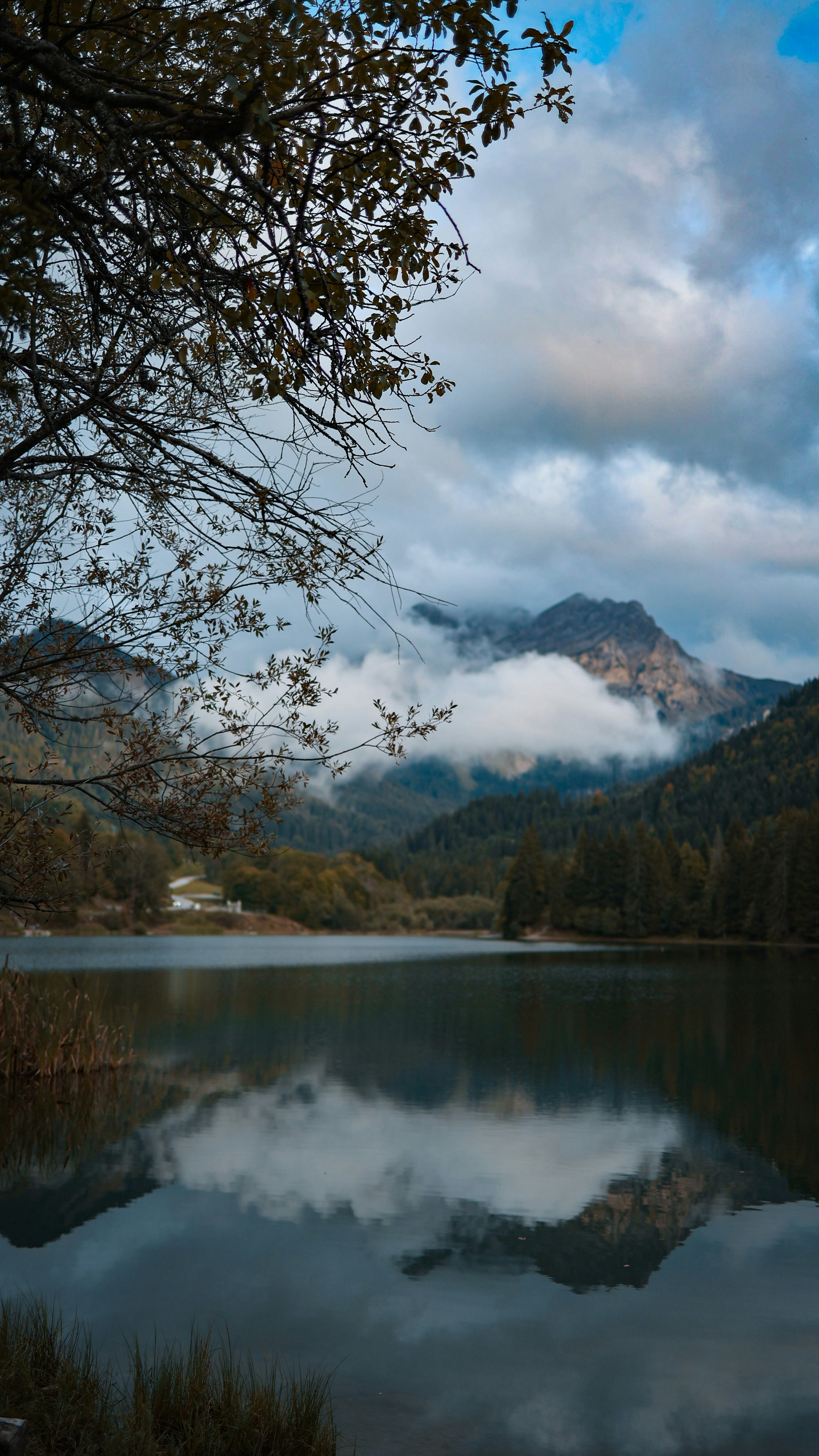 Landscapes