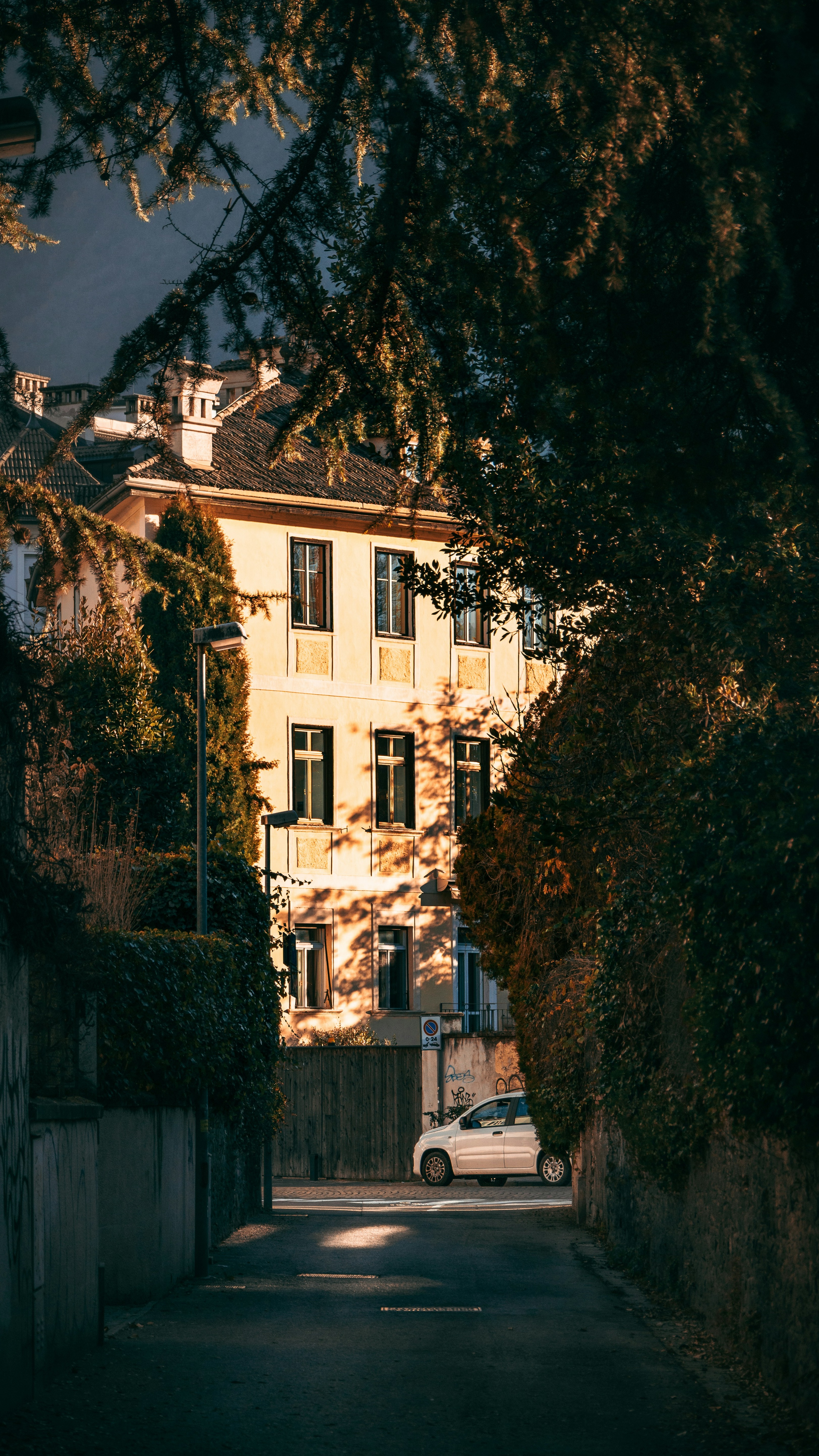 Wallpapers
