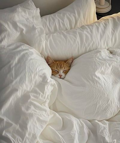 Image 58721 — Pets