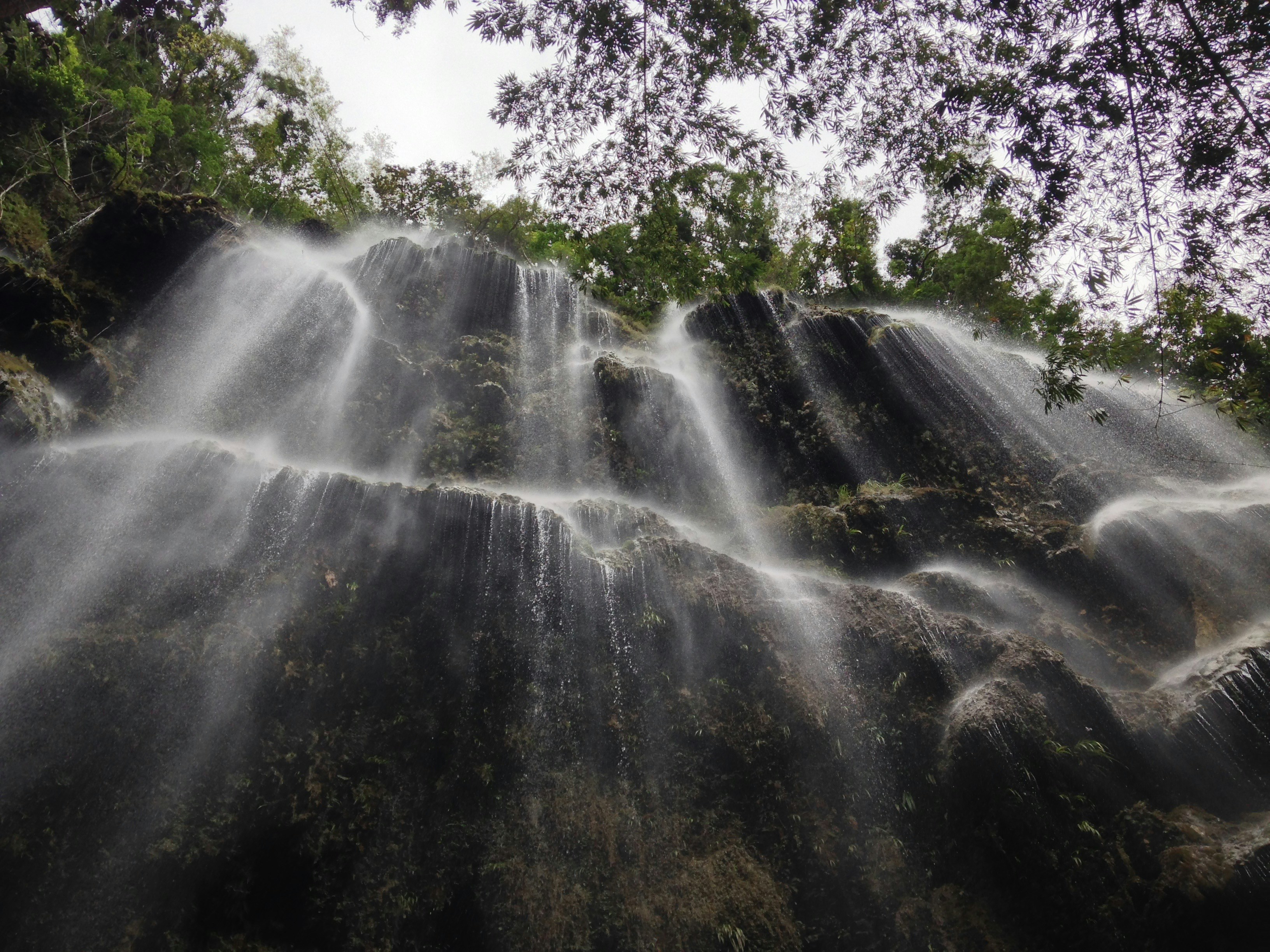 Forest Cascading Waterfall
