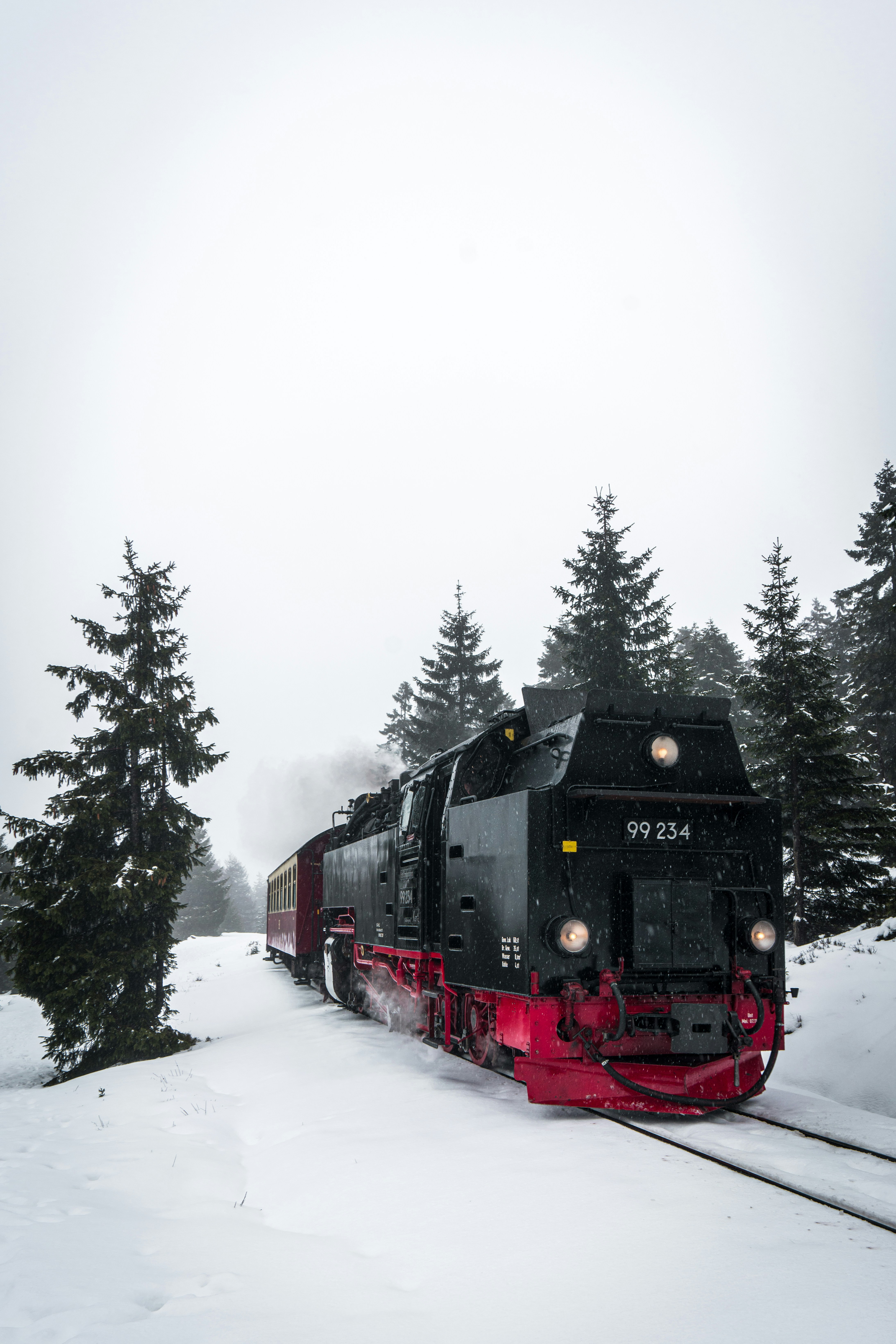 Steam Train in Snowy Forest