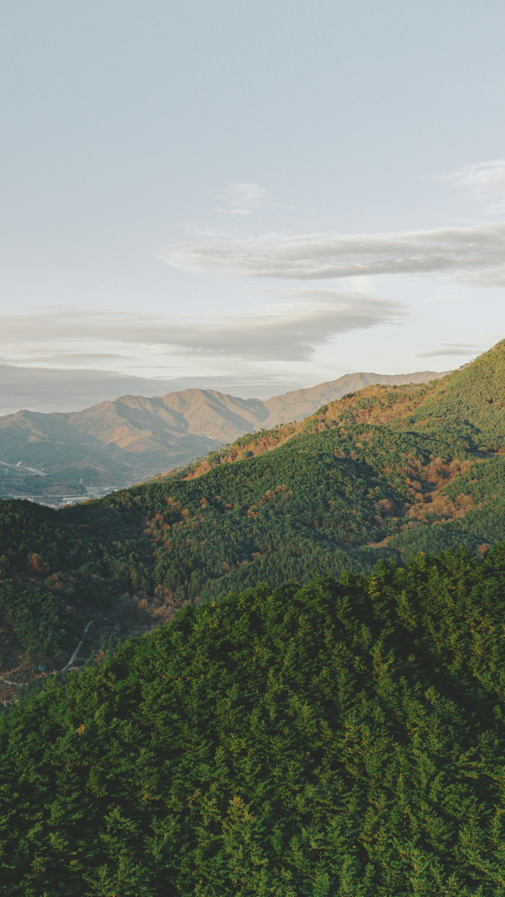 Landscapes