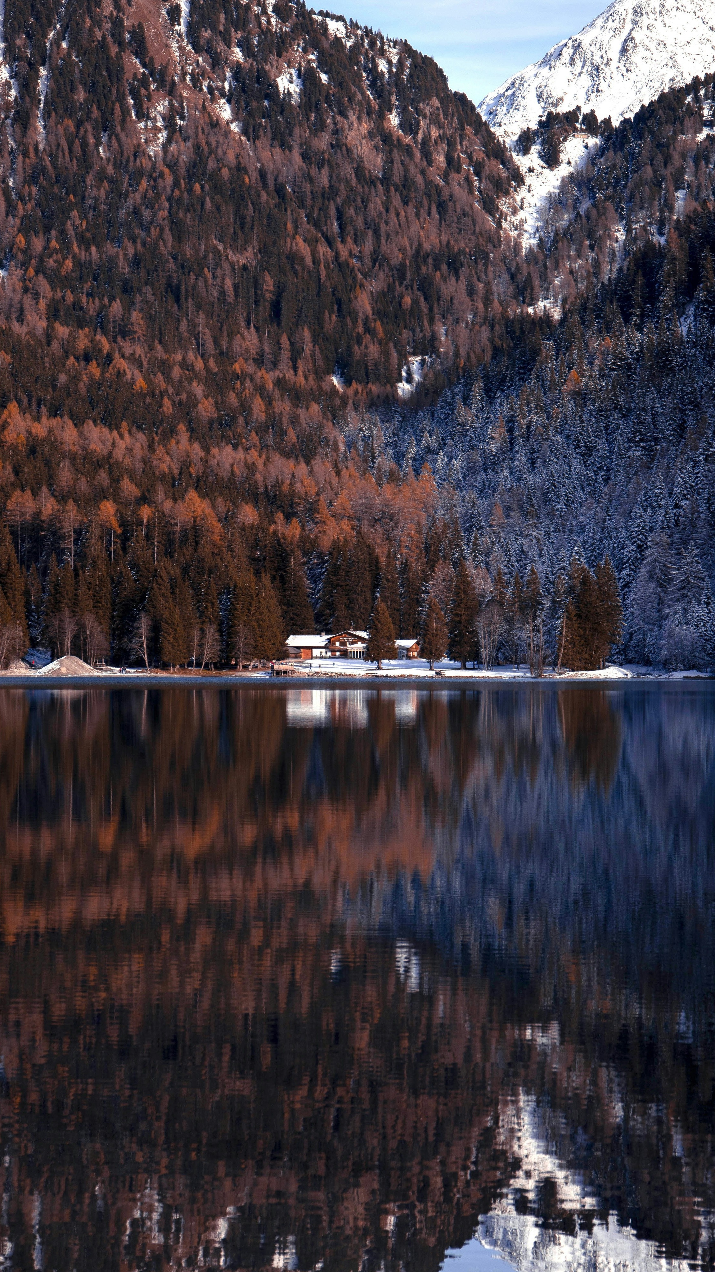 Wallpapers
