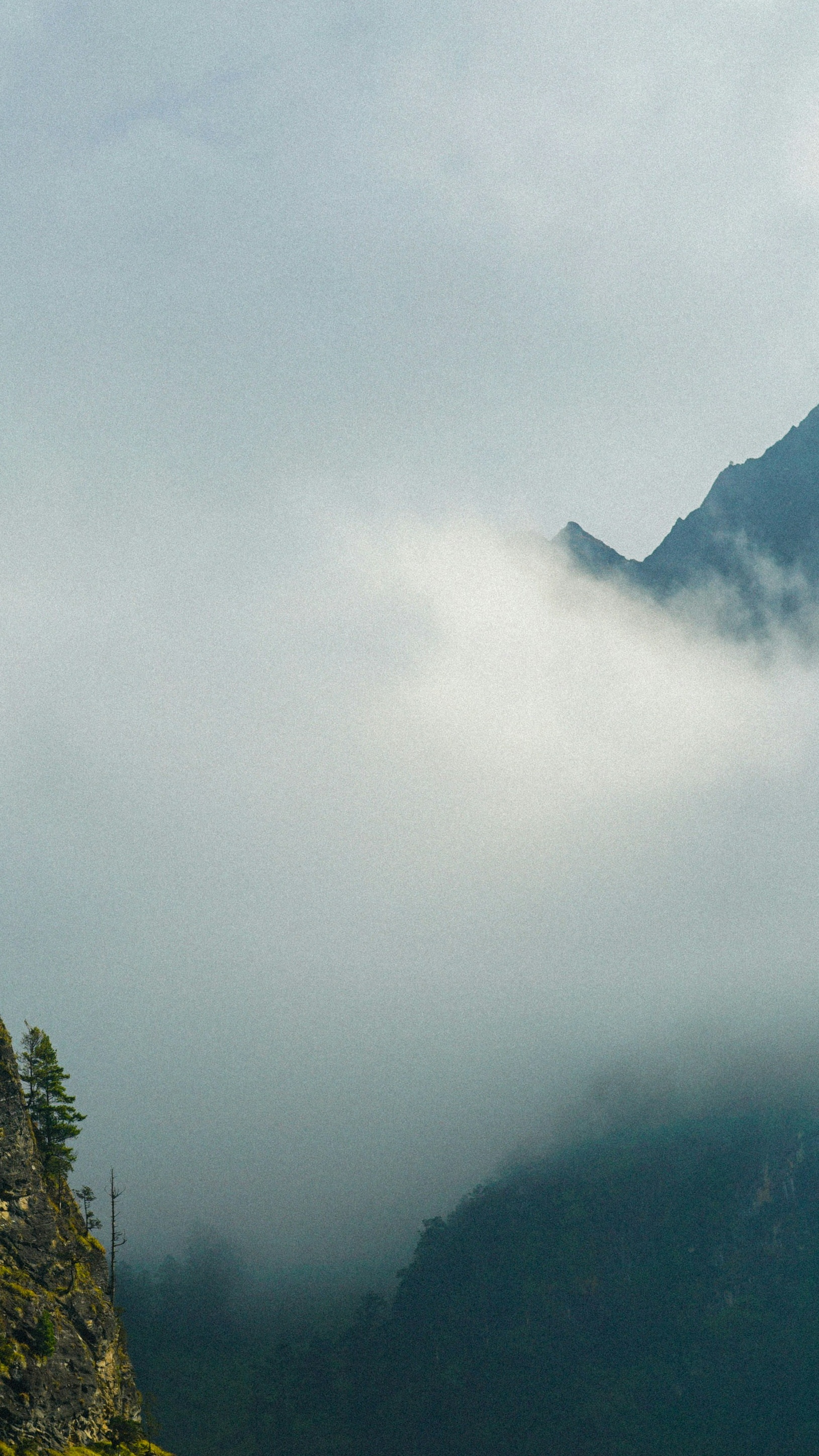 Landscapes