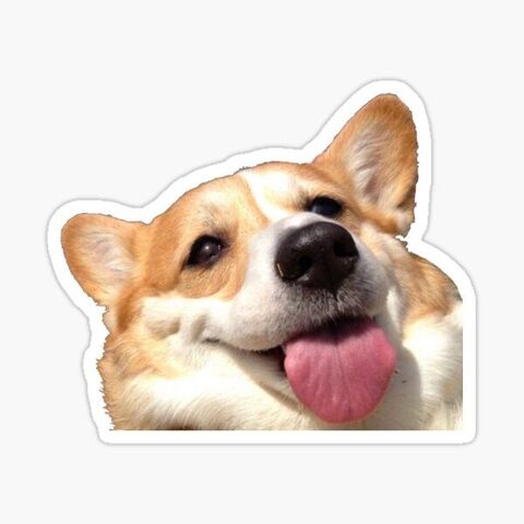 Happy Corgi Dog Sticker