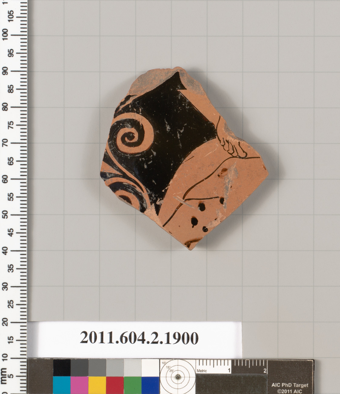 Ancient Black-Figure Pottery Fragment