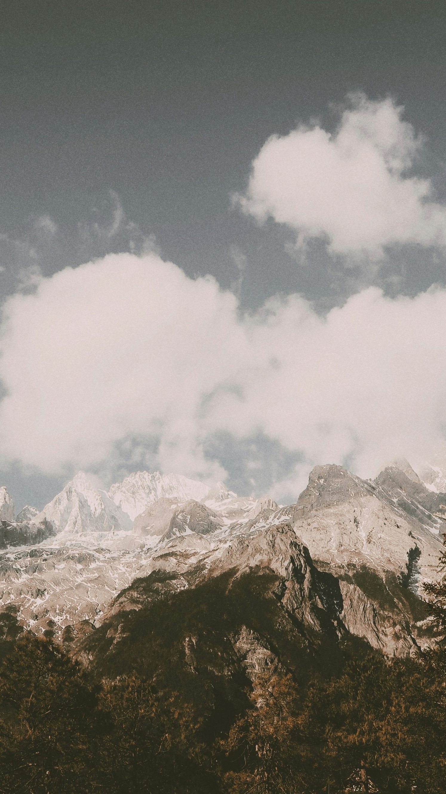 Wallpapers