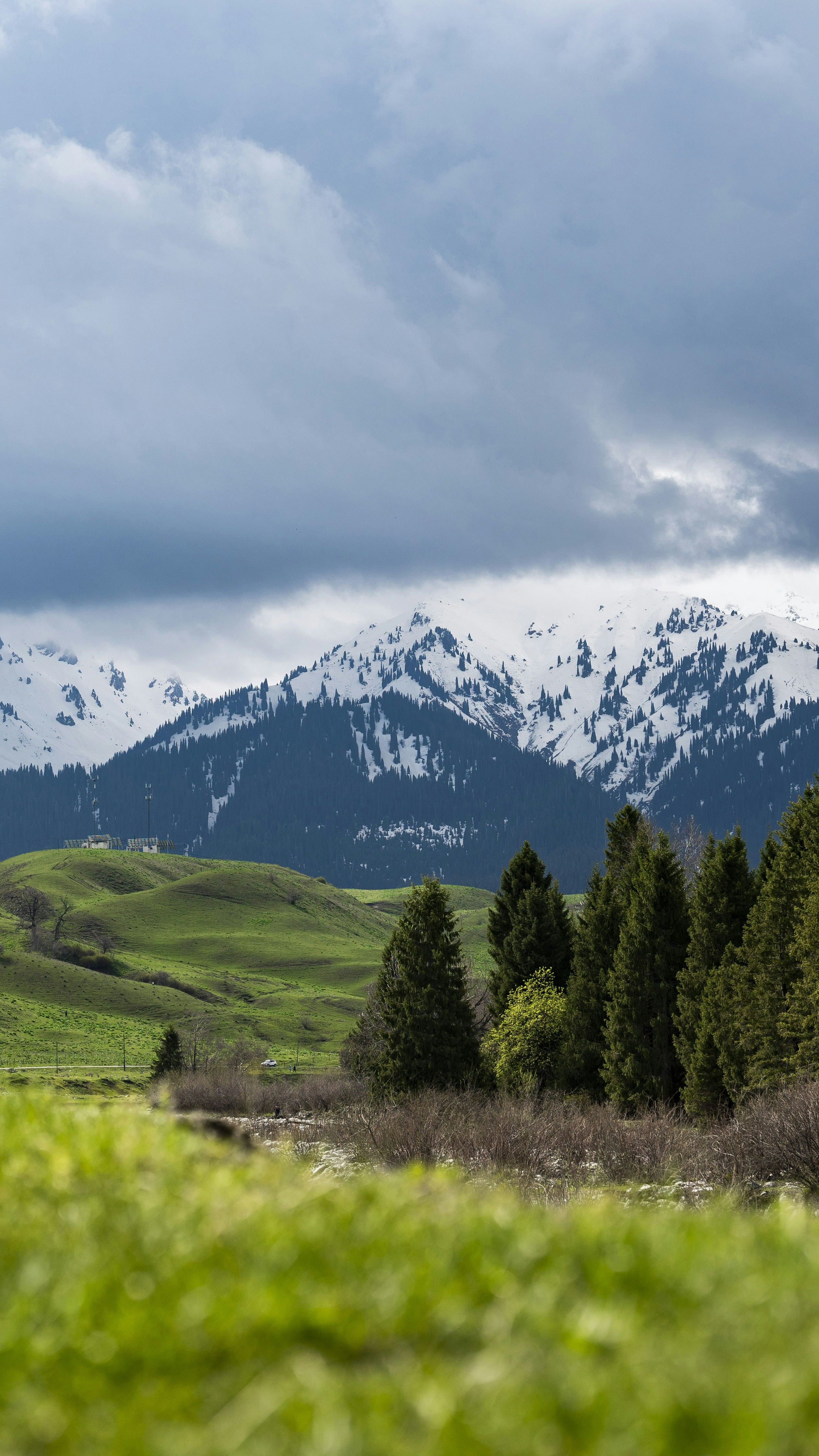 Snow-capped Mountain Green Valley Landscape