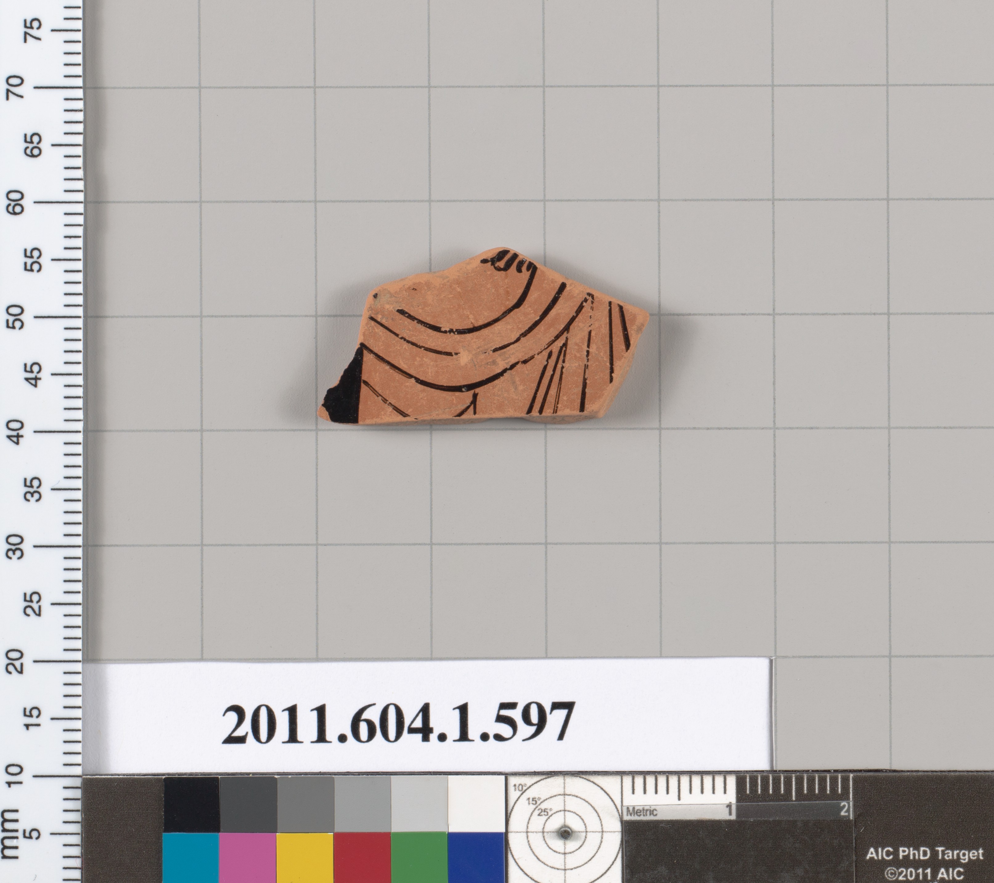 Ancient Pottery Fragment Specimen