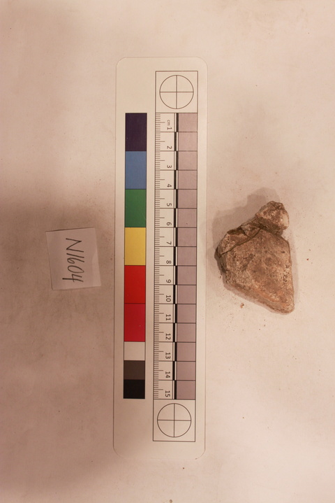 Archaeological Specimen Record Image