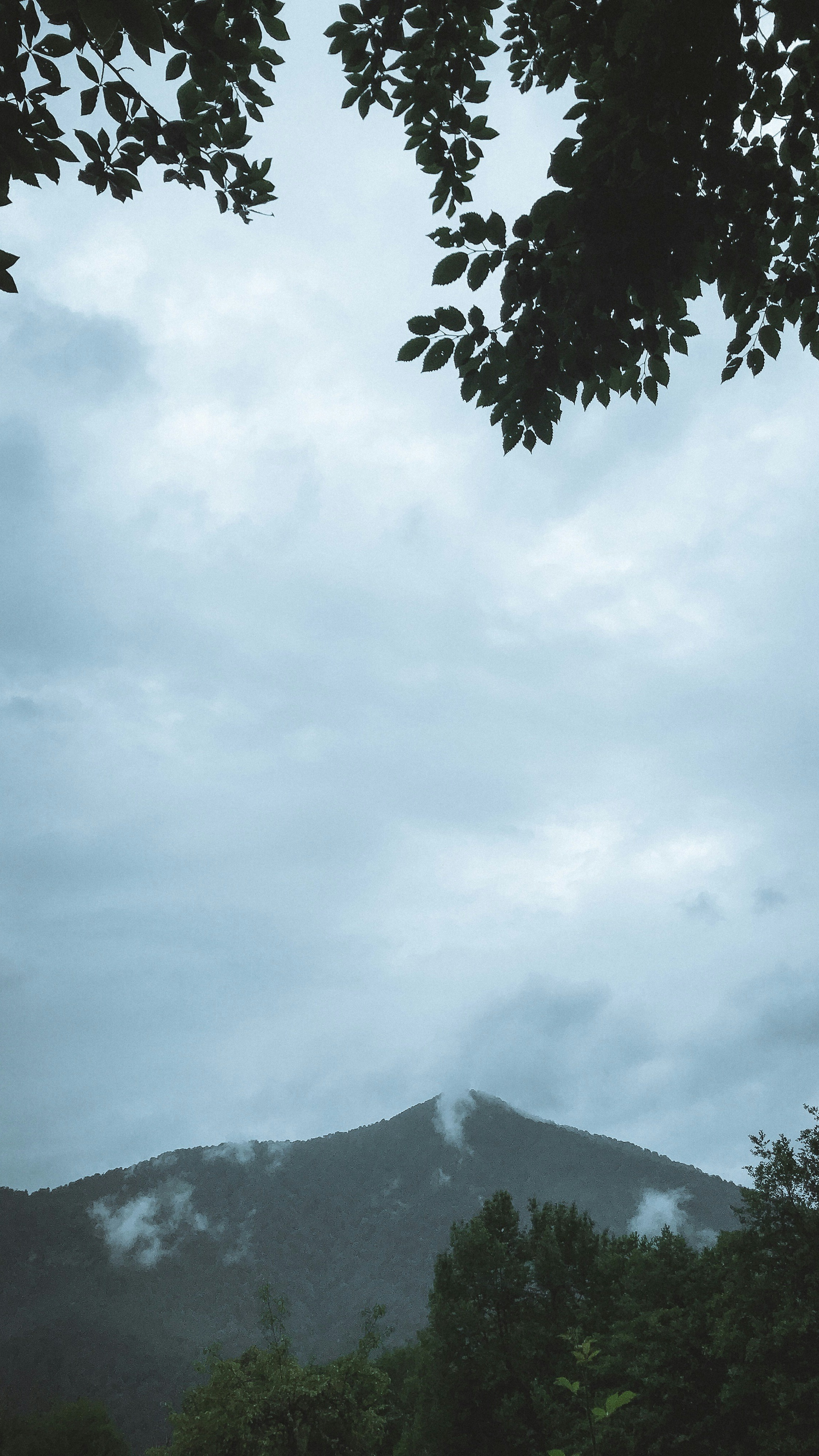 Misty Mountain Under Overcast Sky
