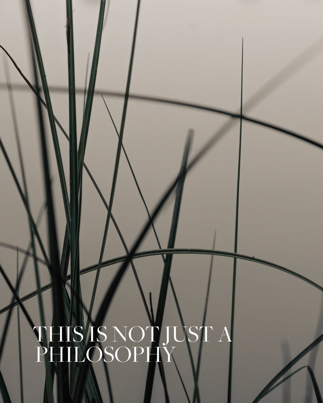 Minimalist Grass With Text Overlay