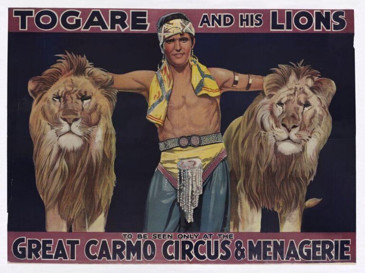Vintage Togare and His Lions Circus Poster