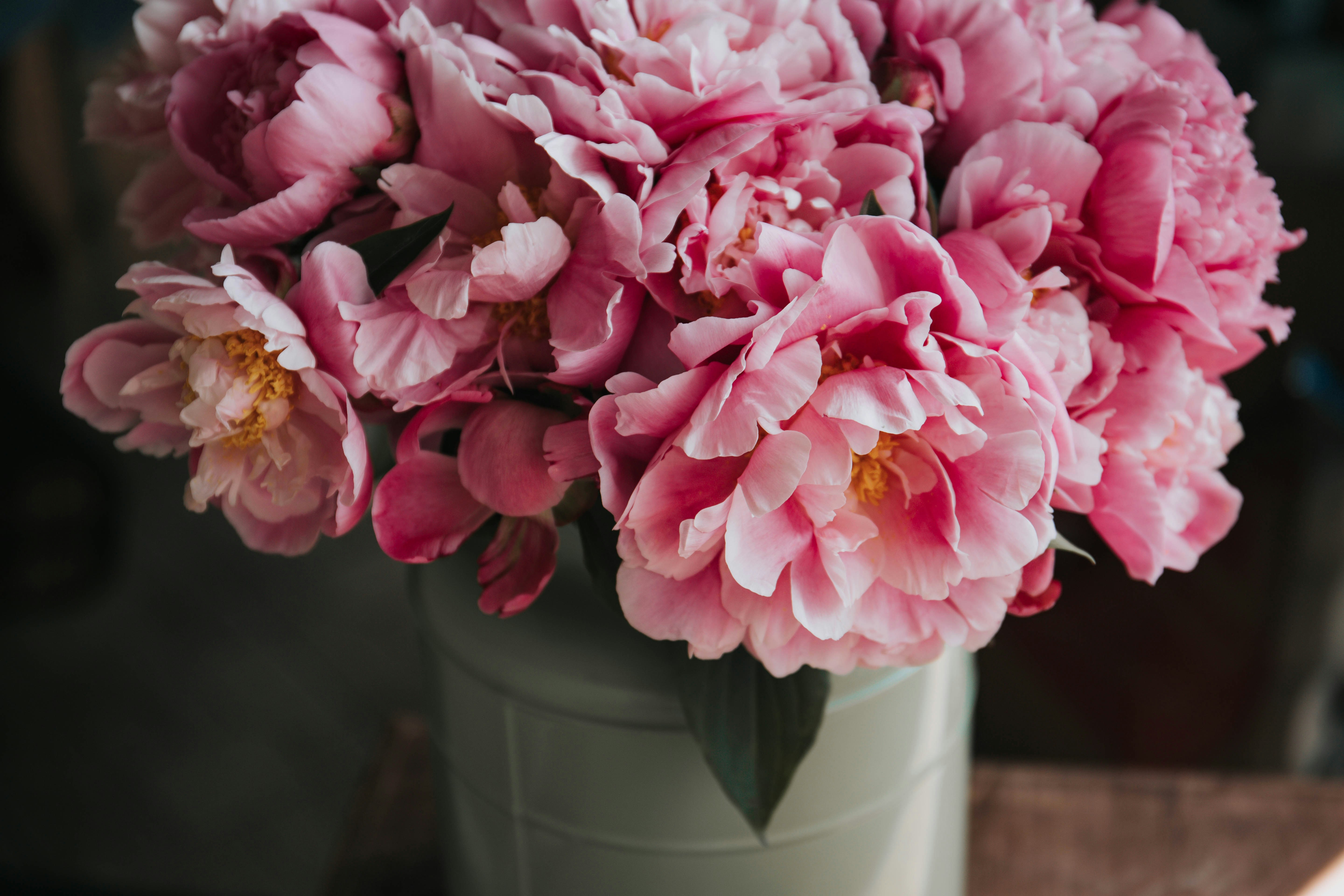 Pink Peony Bouquet In Vase