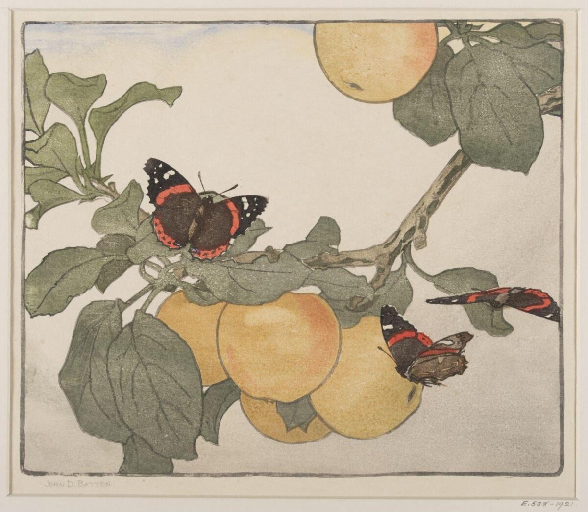 Red Admiral Butterflies on Apple Branch