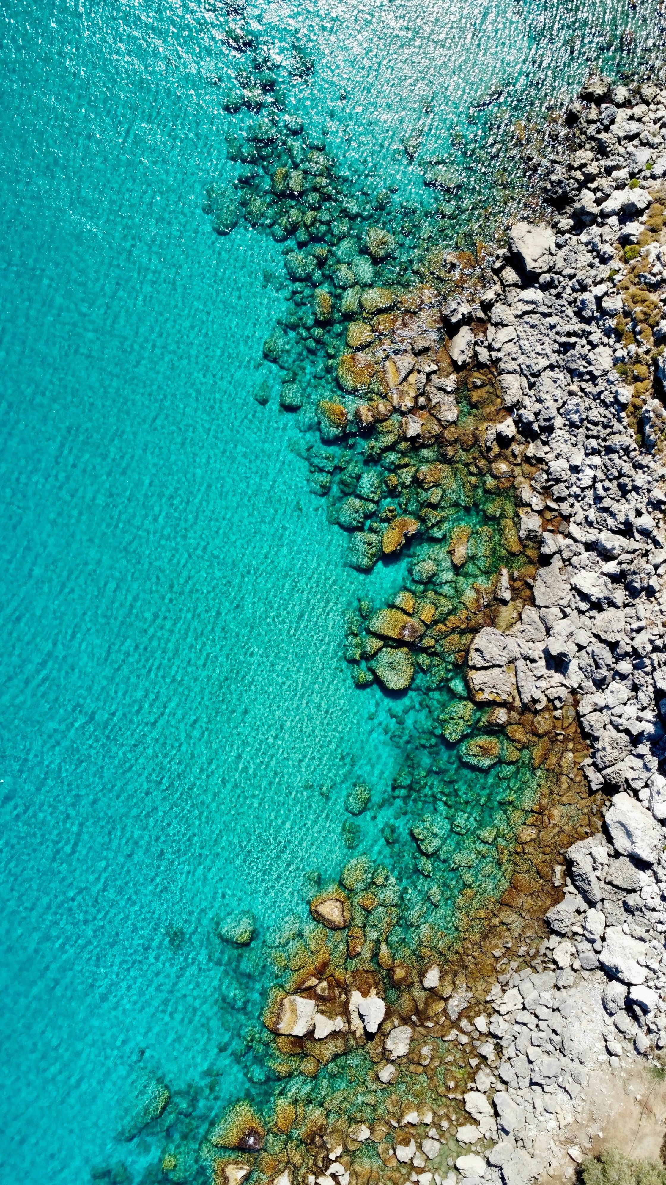 Wallpapers