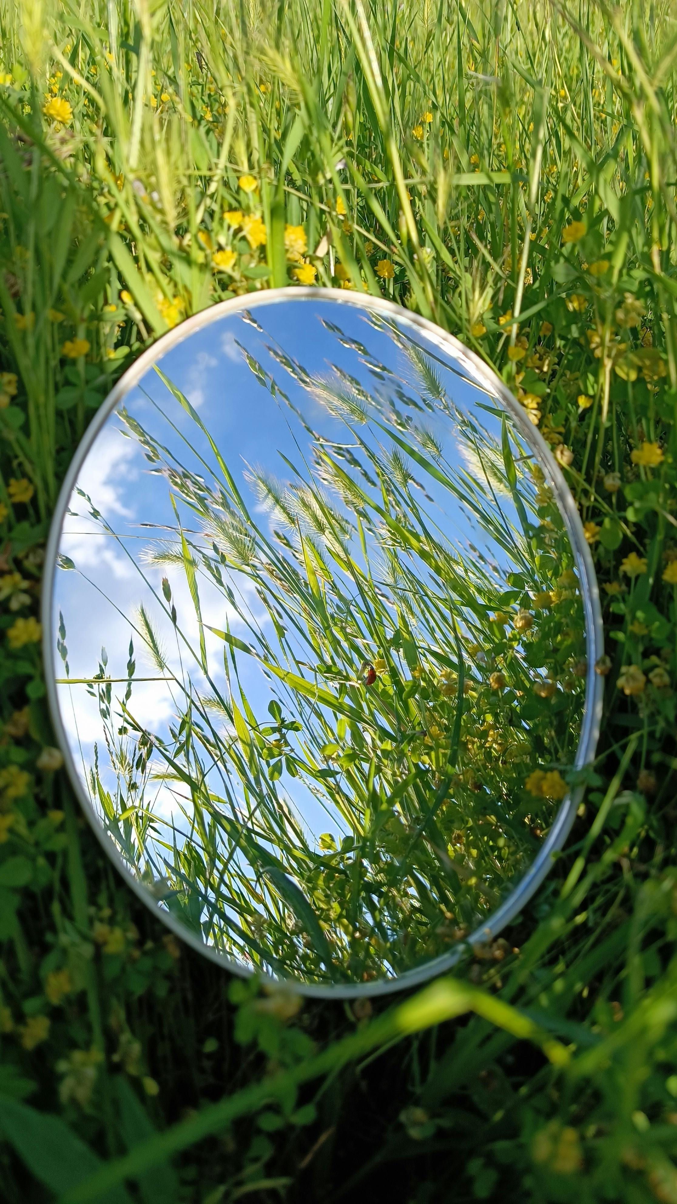 Round Mirror in Sunlit Meadow