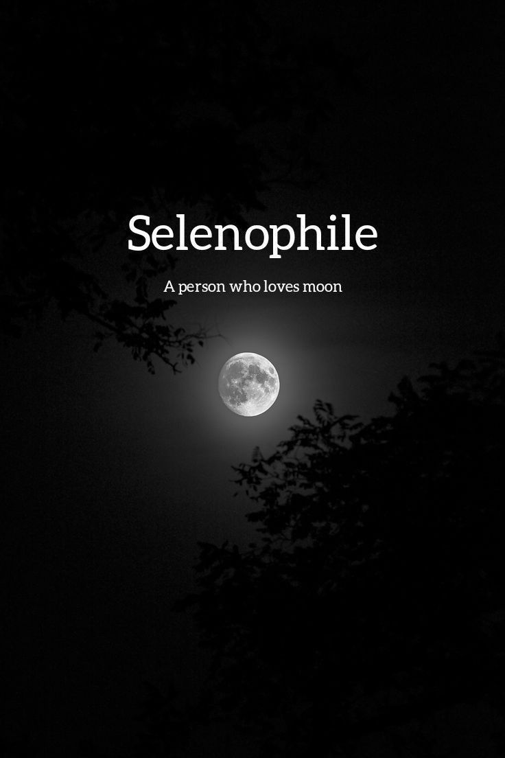 Selenophile Definition Full Moon Night