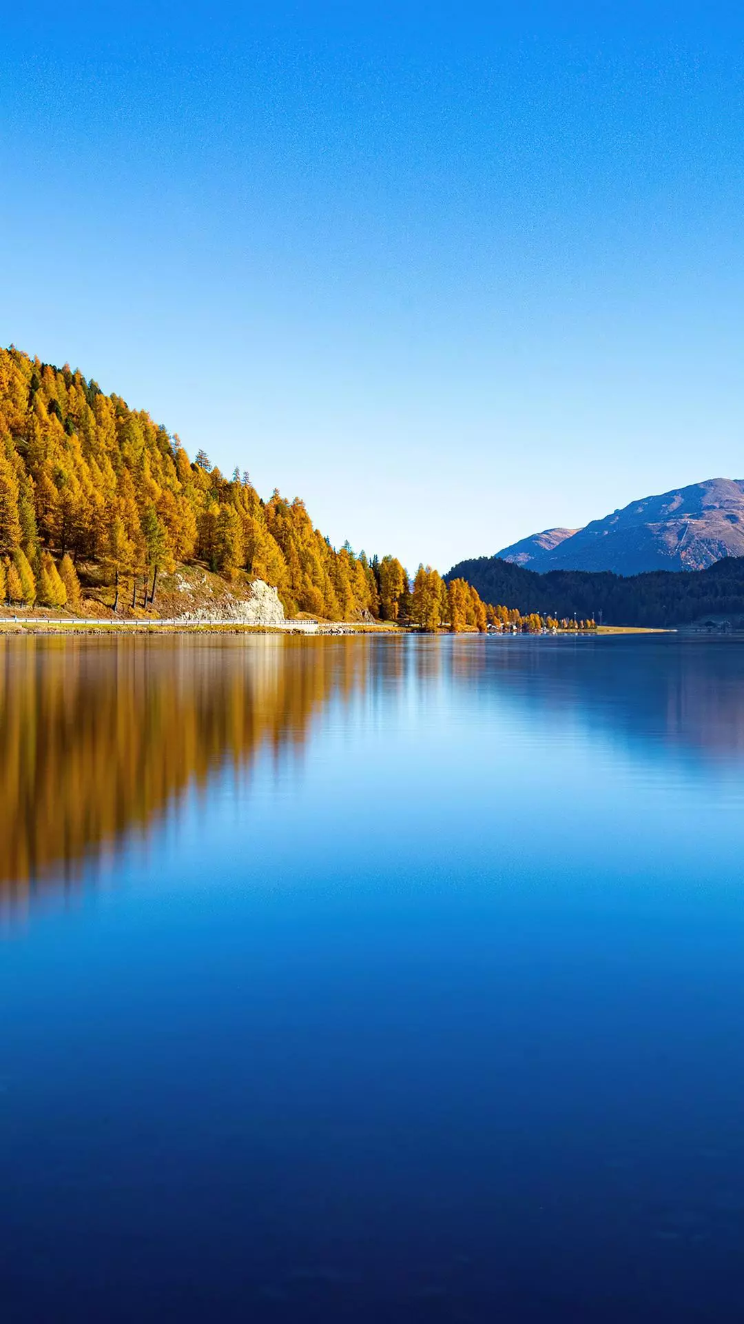 Landscapes