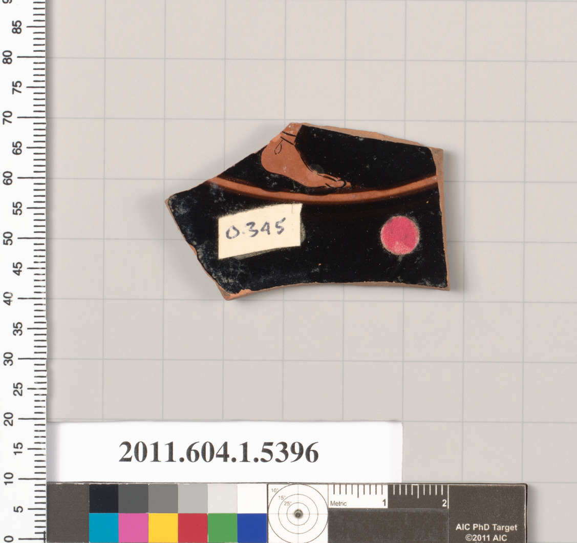 Ancient Terracotta Pottery Fragment