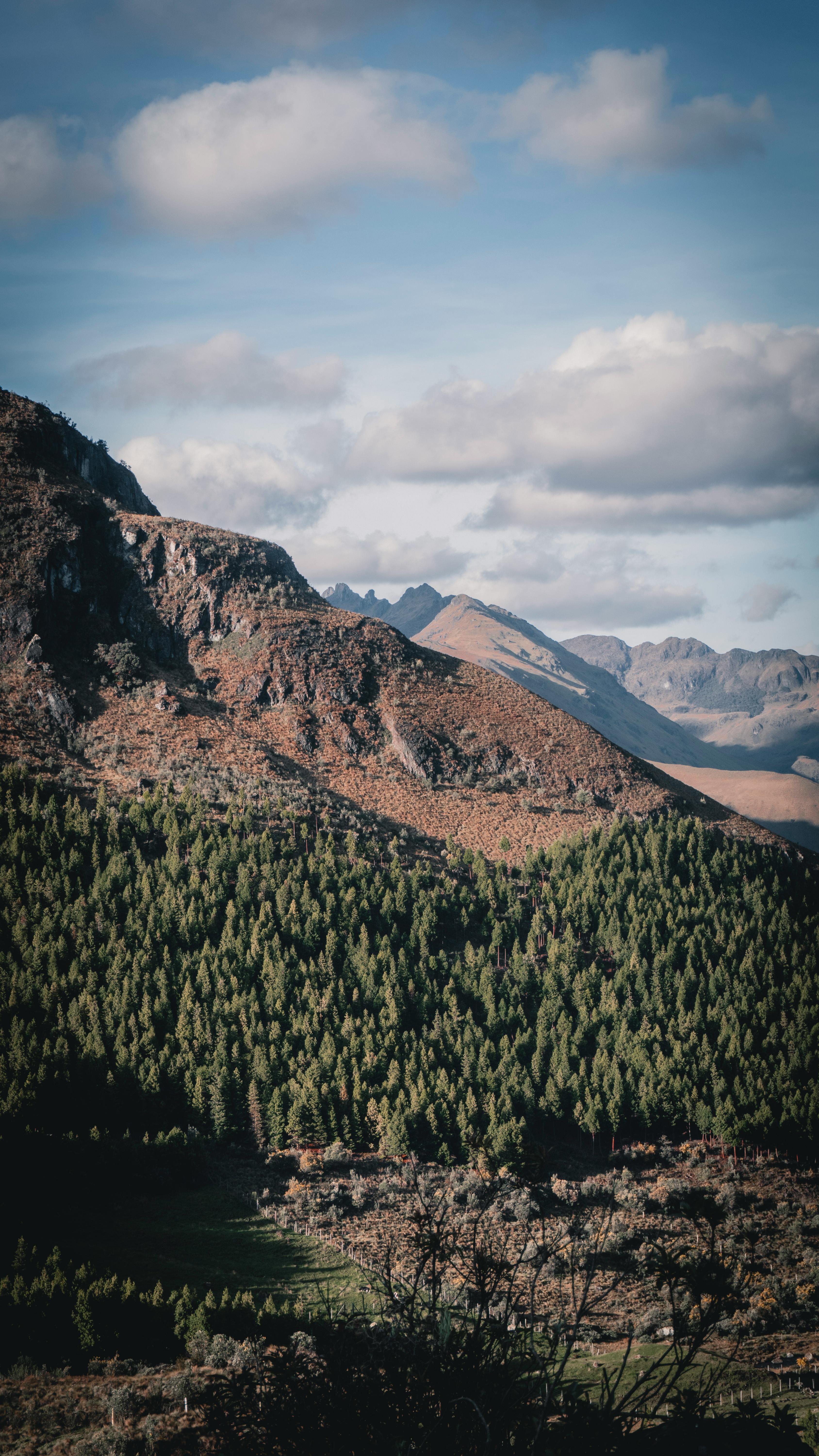 Layered Forested Mountain Landscape