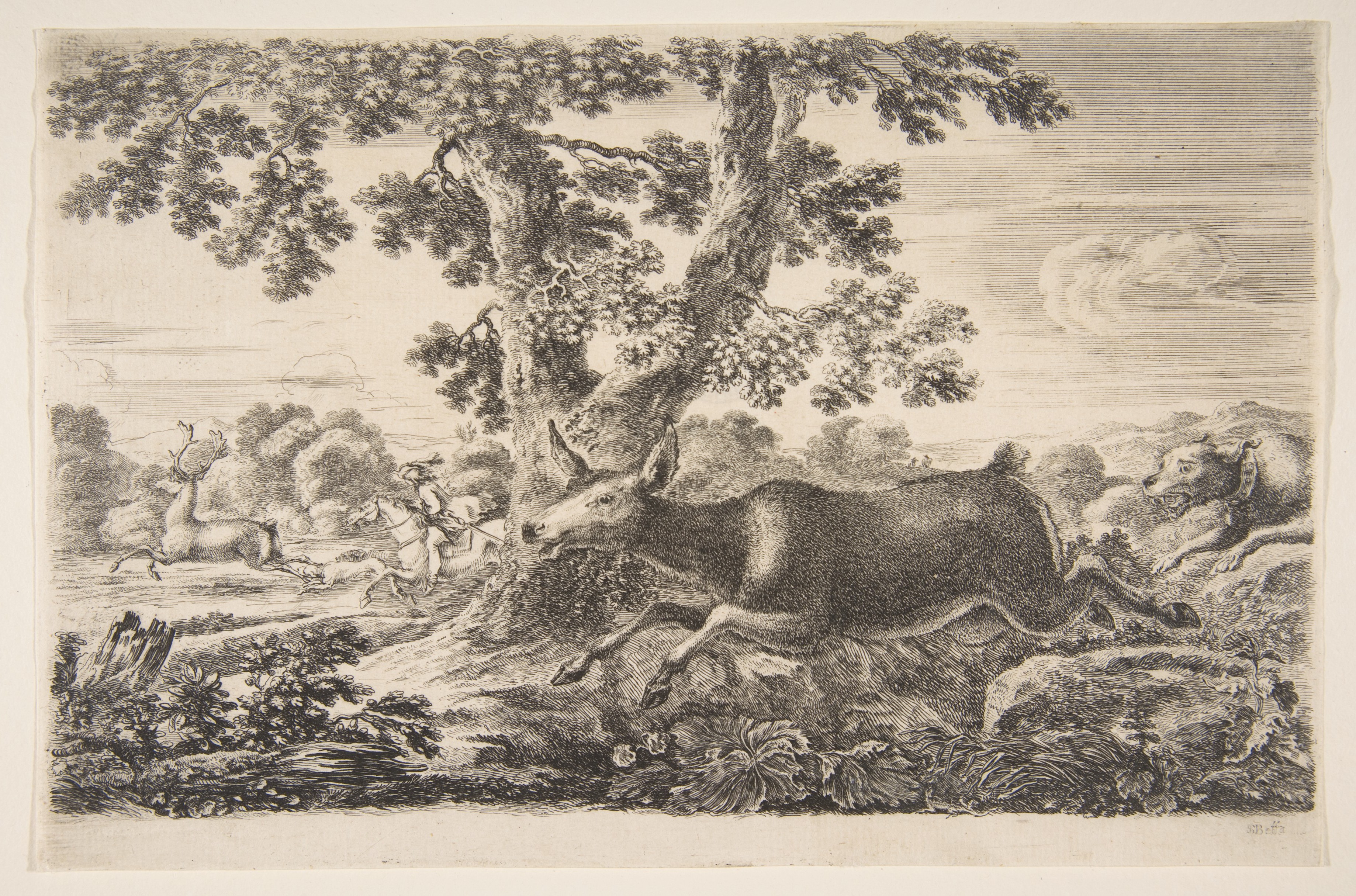 Forest Deer Hunting Etching