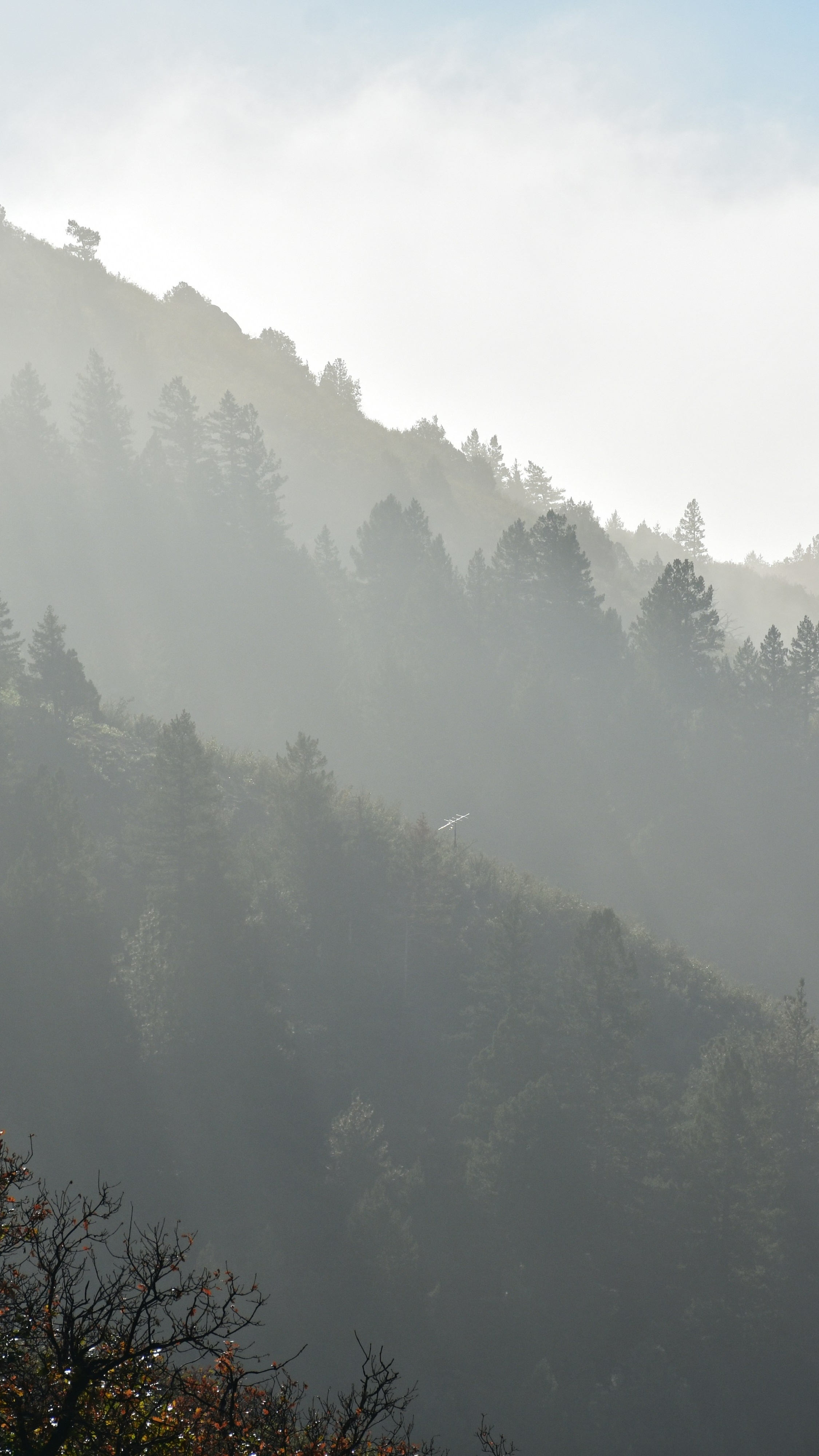Landscapes