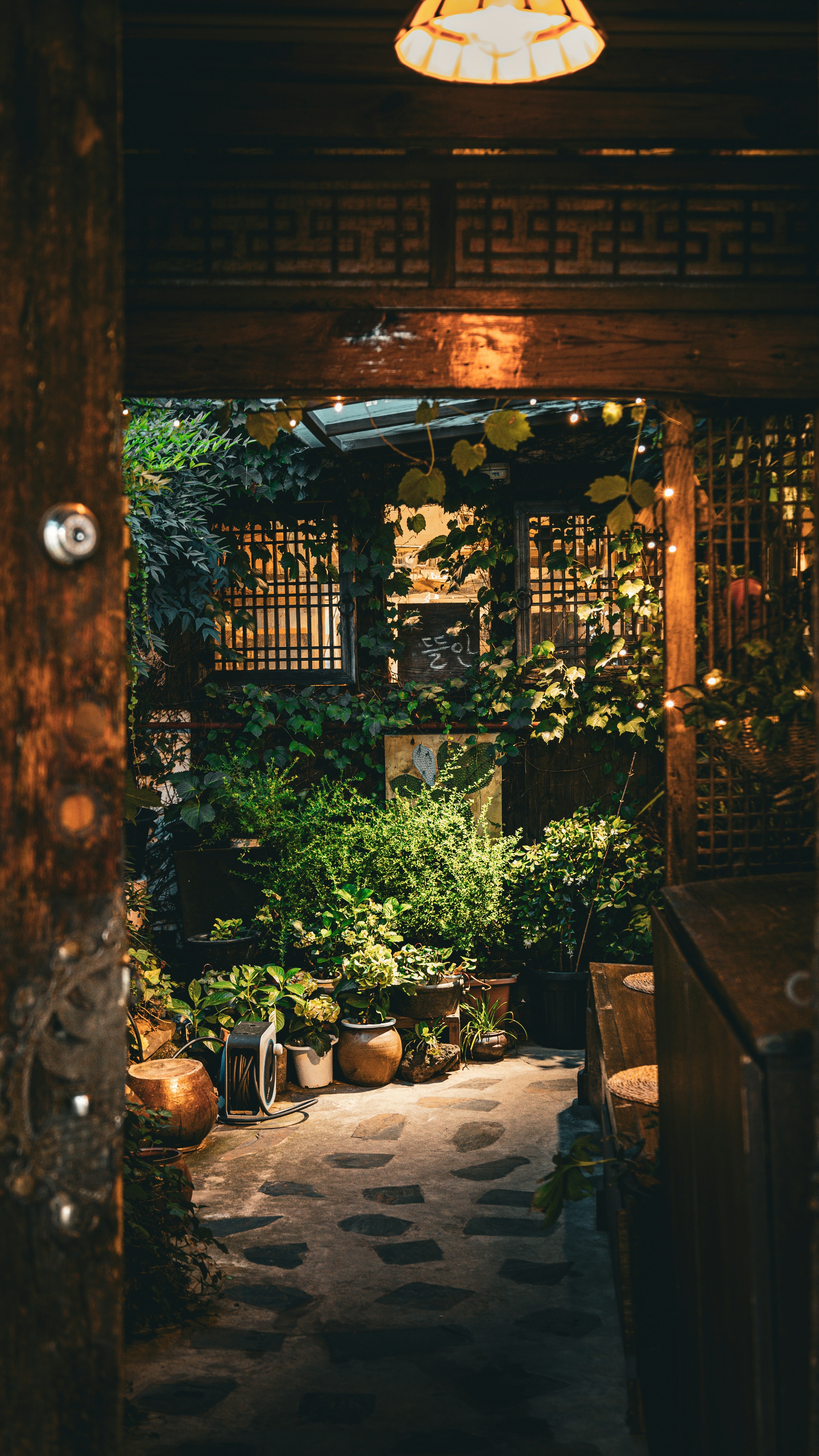 Cozy Plant Covered Courtyard