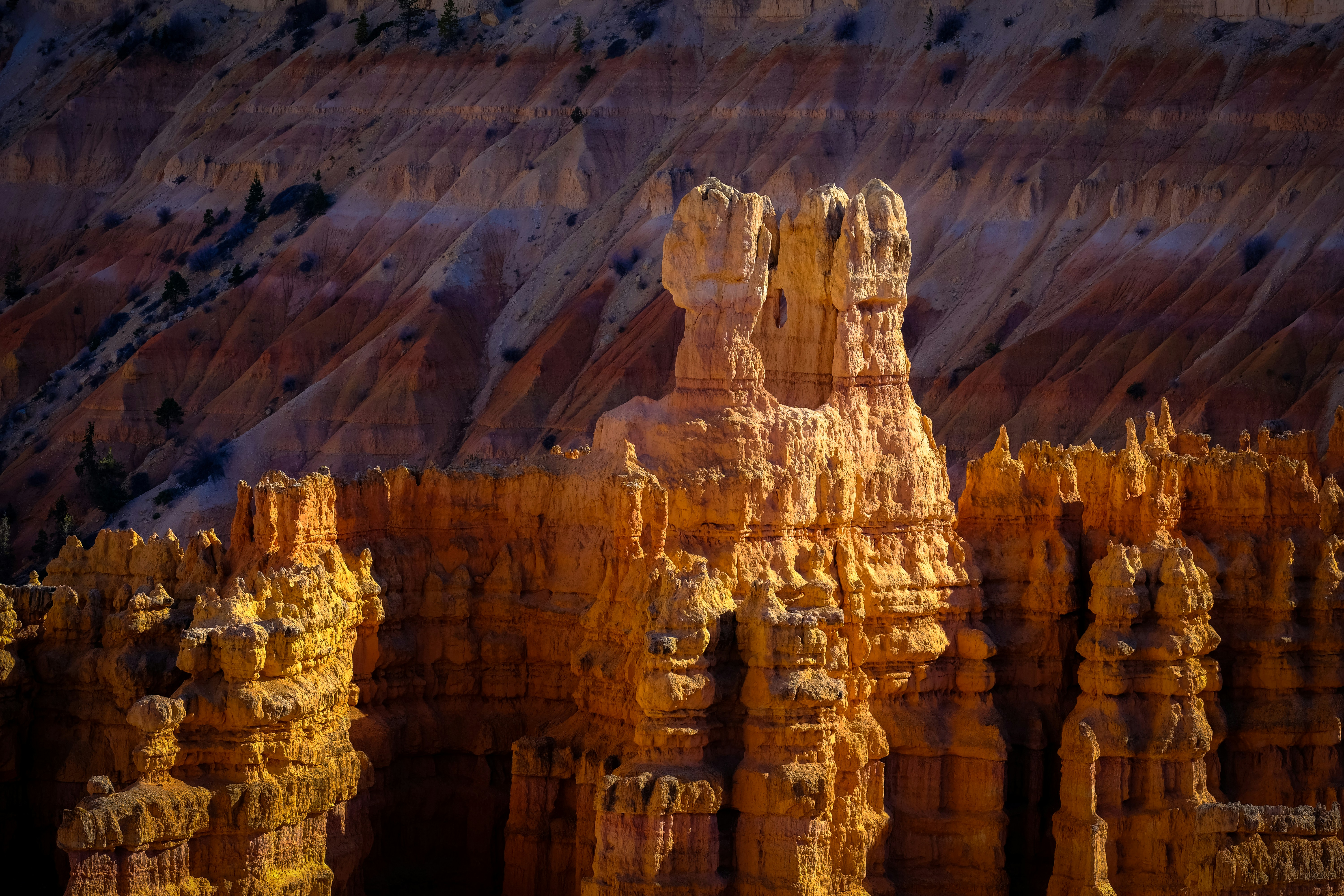 Bryce Canyon Sunlit Hoodoos
