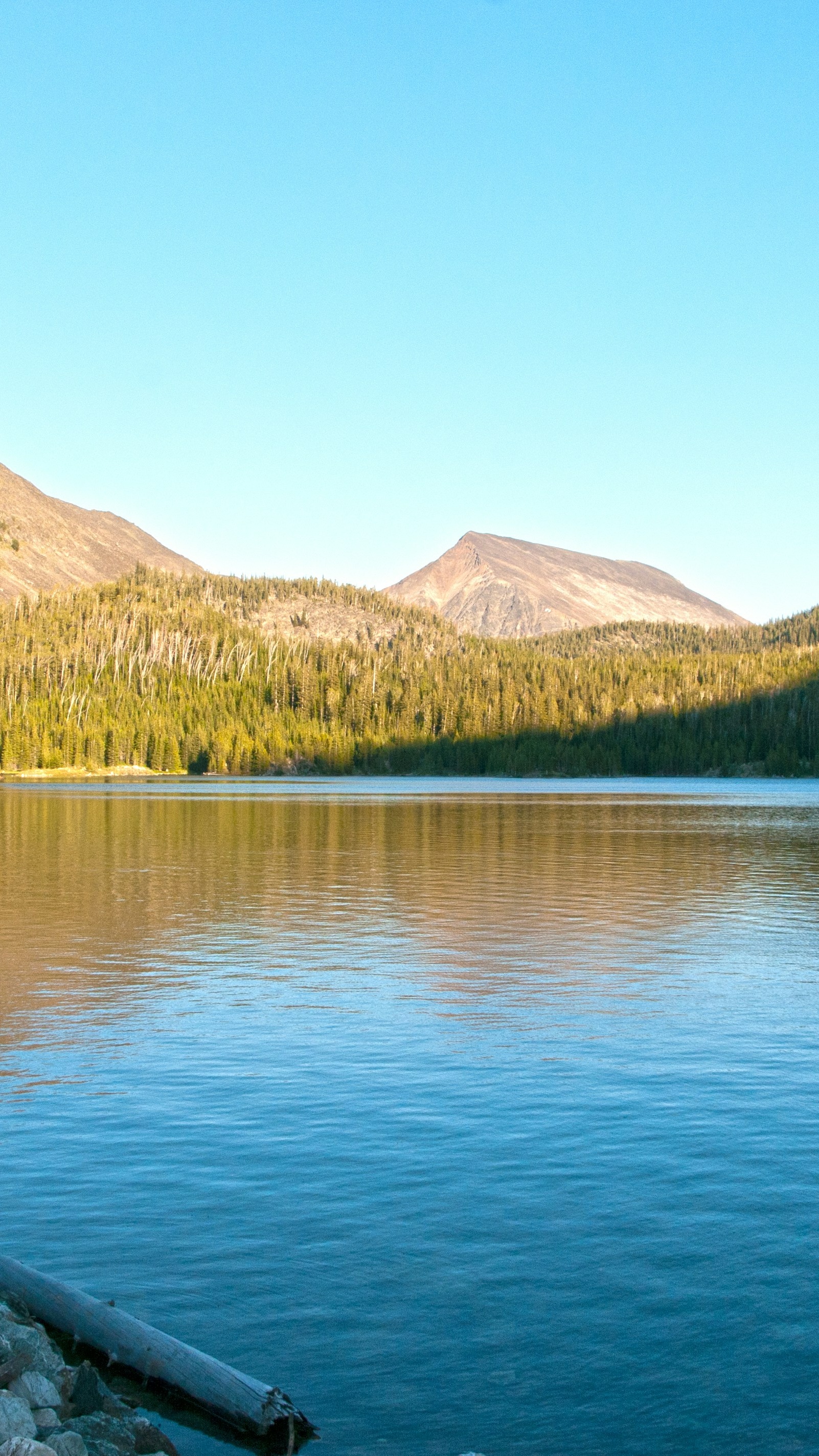 Landscapes